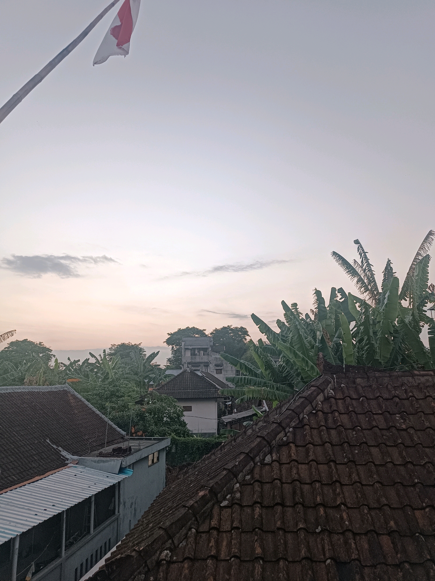The image captures a view of rooftops and foliage against a pale, hazy sky, likely at dawn or dusk. A flag, predominantly white with a red emblem on its upper hoist, is visible attached to a flagpole in the upper left quadrant. The foreground is dominated by a section of a dark, weathered tiled roof. To the left, a lighter-colored building with a corrugated metal roof is partially visible. In the mid-ground and background, various trees, including several banana trees with their large, distinctive leaves, are interspersed with buildings. The architecture suggests a residential area. The sky is a uniform, light grey with a subtle warm glow near the horizon, indicating soft, diffused light. The scene is devoid of any human presence. This view is consistent with a residential area in the city of Tabanan, Bali, Indonesia, where such a combination of tiled roofs, lush vegetation, and flags is common.
