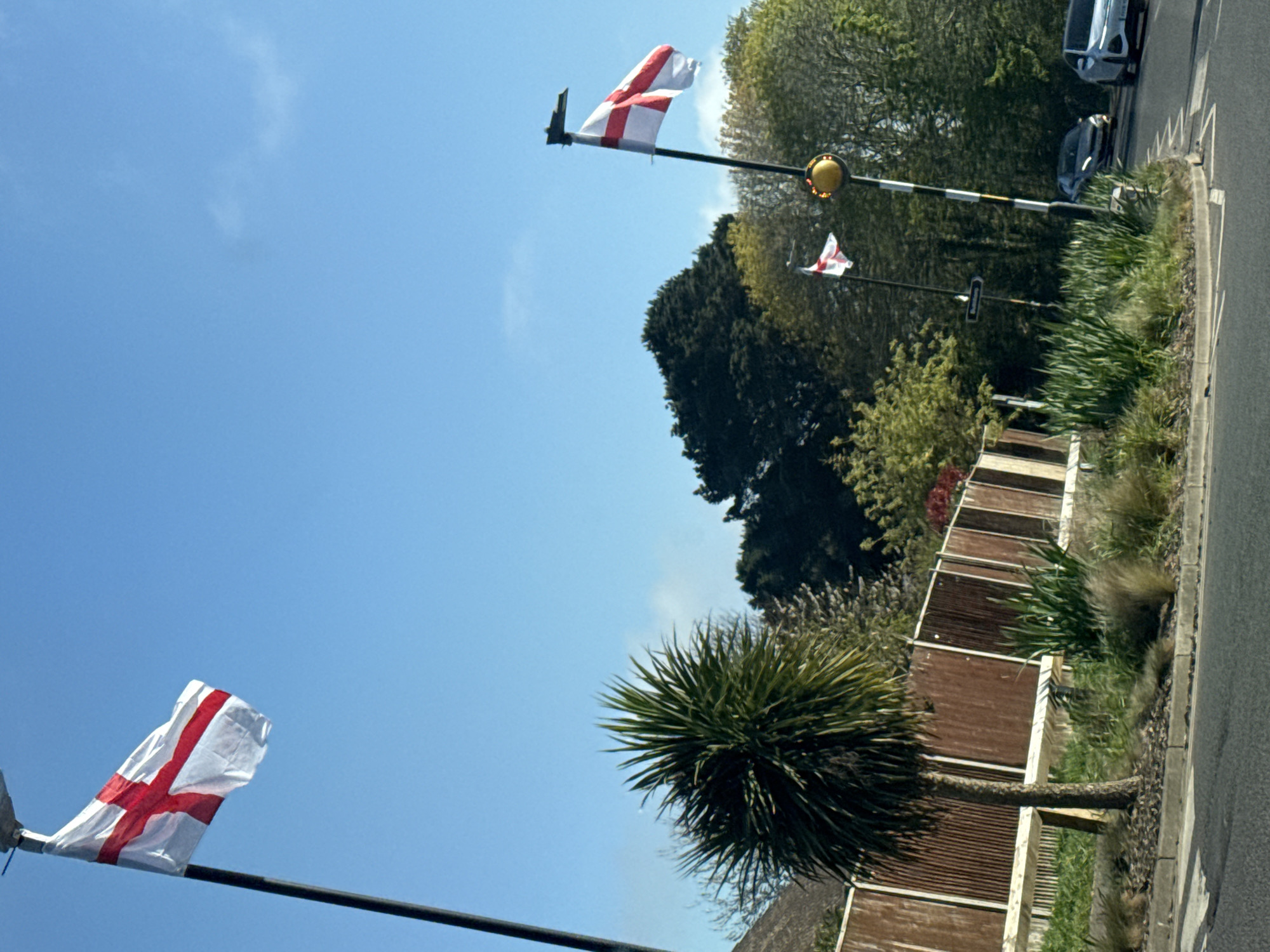 The image, which appears to be rotated clockwise, depicts a bright outdoor scene featuring two St. George's Cross flags (England's flag) waving from flagpoles against a clear blue sky. The prominent flag in the foreground is on a dark pole, with a second, smaller flag visible further back on another pole that also features a circular yellow light or sensor.
The scene includes varied vegetation, with lush green trees and bushes lining what appears to be a roadside. A distinctive spiky plant, resembling a Yucca or similar species, is visible in the mid-ground. A brown, possibly corrugated, wooden fence runs parallel to the road. On the right side of the image, sections of an asphalt road and a concrete curb are visible, along with two dark-colored cars in the background.
The lighting indicates clear, bright daylight with a sunny sky and minimal cloud cover. The display of the English flags points to a location in England, consistent with the provided context of Great Yarmouth, United Kingdom. There is no discernible specific activity taking place, nor is any text visible within the frame.