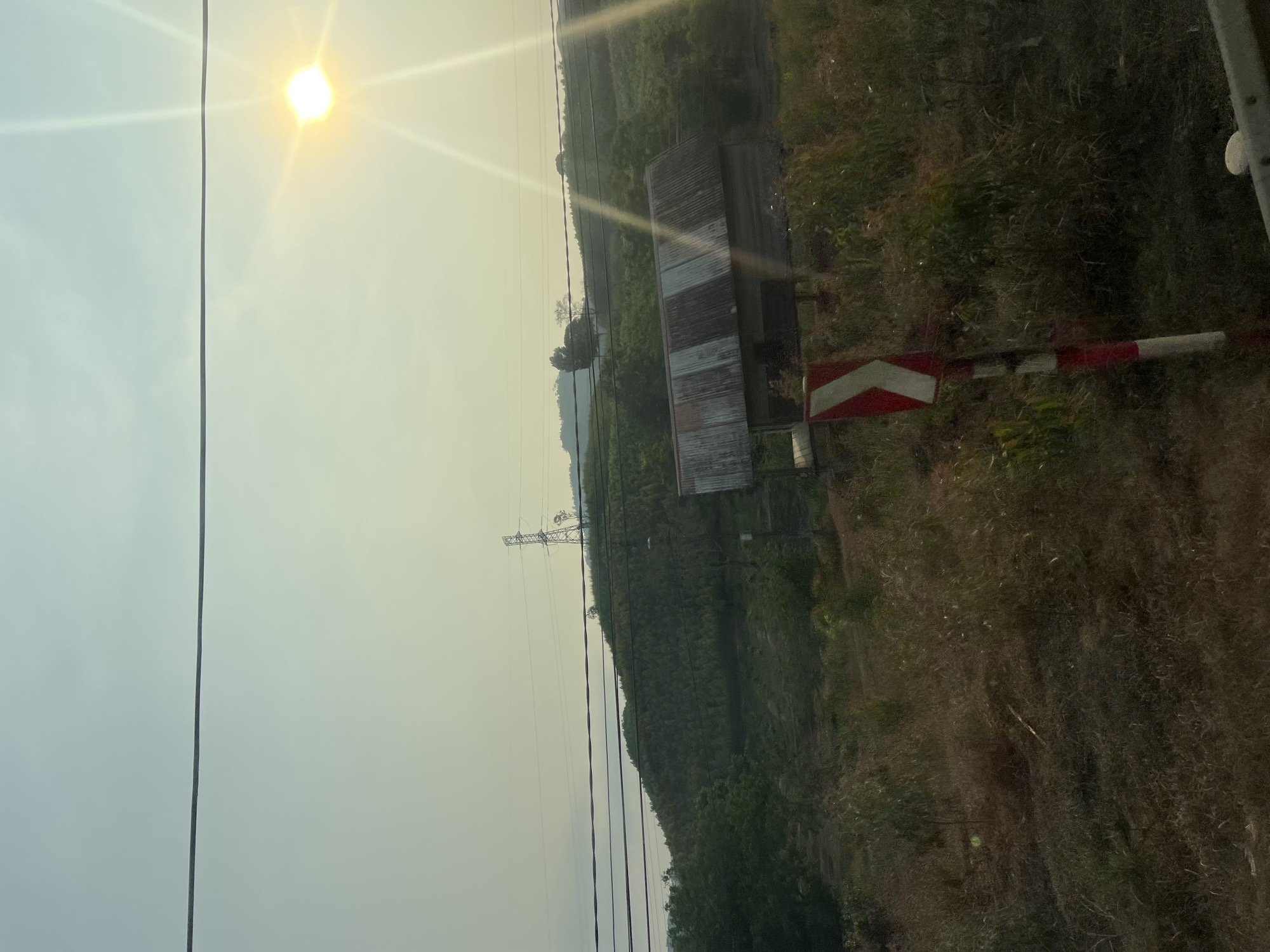 The image presents a landscape view under a bright sun, likely taken during the day. The foreground consists of dense vegetation, transitioning into what appears to be a hillside covered in trees and foliage. A small building with a corrugated metal roof stands amidst the vegetation. Power lines stretch across the left side of the frame. A red and white striped sign is seen on the right side of the image. Based on the prompt's information, the location is Myui, Vietnam. No people are visible in the image.