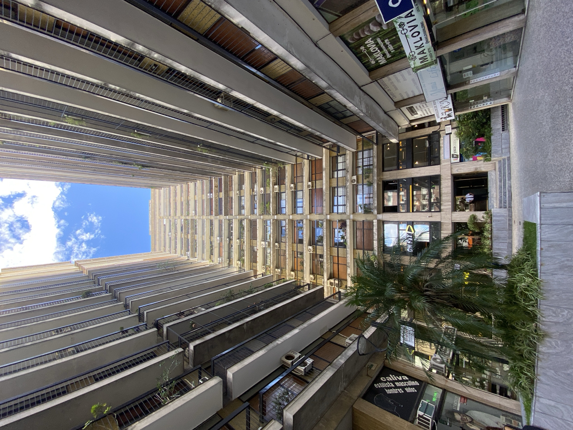 This image captures a low-angle, upward-looking perspective into a narrow urban passage framed by two tall, multi-story concrete buildings in the Palermo neighborhood of Buenos Aires, Argentina. This location is evidenced by signage for "MAKLOVIA" including "@makloviapalermo" and a Buenos Aires phone number.
The buildings rise symmetrically on either side, featuring numerous uniform balconies with dark metal railings, stacked vertically, creating a repetitive, layered architectural pattern. Many balconies contain small potted plants, and various white external air conditioning units are visible on the facades and beneath balconies. Windows, some with internal horizontal blinds, are present on all visible floors.
At ground level, a light-colored paved pedestrian area occupies the foreground. On the left, a large, vibrant green palm tree is situated within a raised planter, accompanied by smaller green shrubbery. Behind this foliage, commercial storefronts with reflective glass are visible; one displays a "ONEFIT" logo, and another features text partially readable as "CALLIVA estilista masculino." On the right, several commercial establishments, including "MAKLOVIA" (a "Centro de Estética" identified by its logo of stacked stones), "Mana Life," and services like "ARREGLOS DE ROPA" and "MODISTA," are presented with angled storefronts.
In the background, a central entrance with stairs leads into one of the buildings. A single person is visible standing near this entrance, dressed in a light-colored shirt and dark pants, suggesting a doorman or security guard. The upper section of the image shows a clear blue sky with scattered white clouds, indicating a bright, daylight scene.