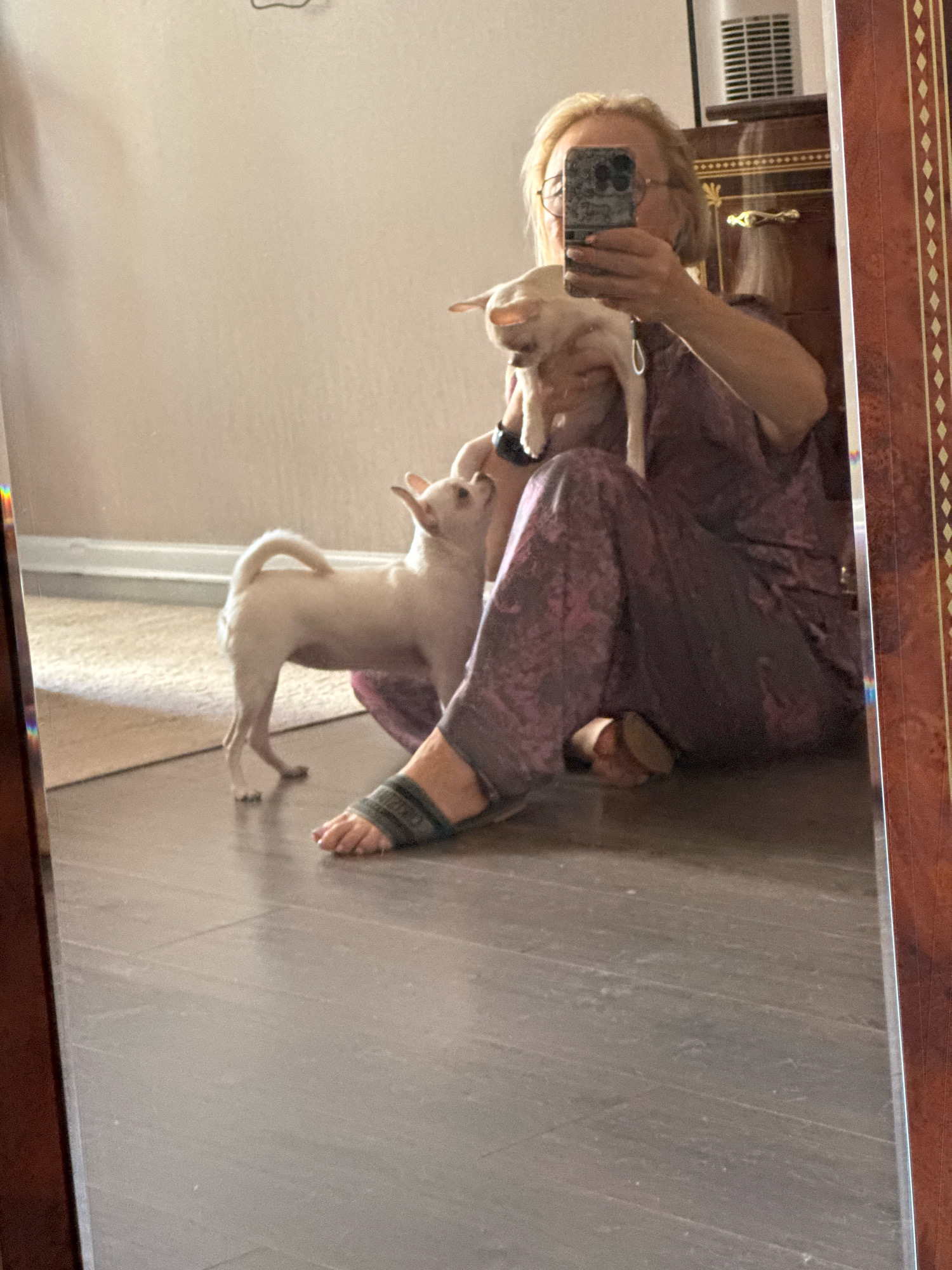 A woman is taking a mirror selfie in a room. She is sitting on the floor, holding a white chihuahua puppy in her arms. Another white chihuahua stands on the floor next to her. She is wearing a dark purple patterned pajama set and green and black striped sandals. The room has a wooden floor and a light-colored rug. In the background, a dresser and a white heating unit are visible. The mirror has a decorative wooden frame. The image was taken in Novosibirsk, Russia.