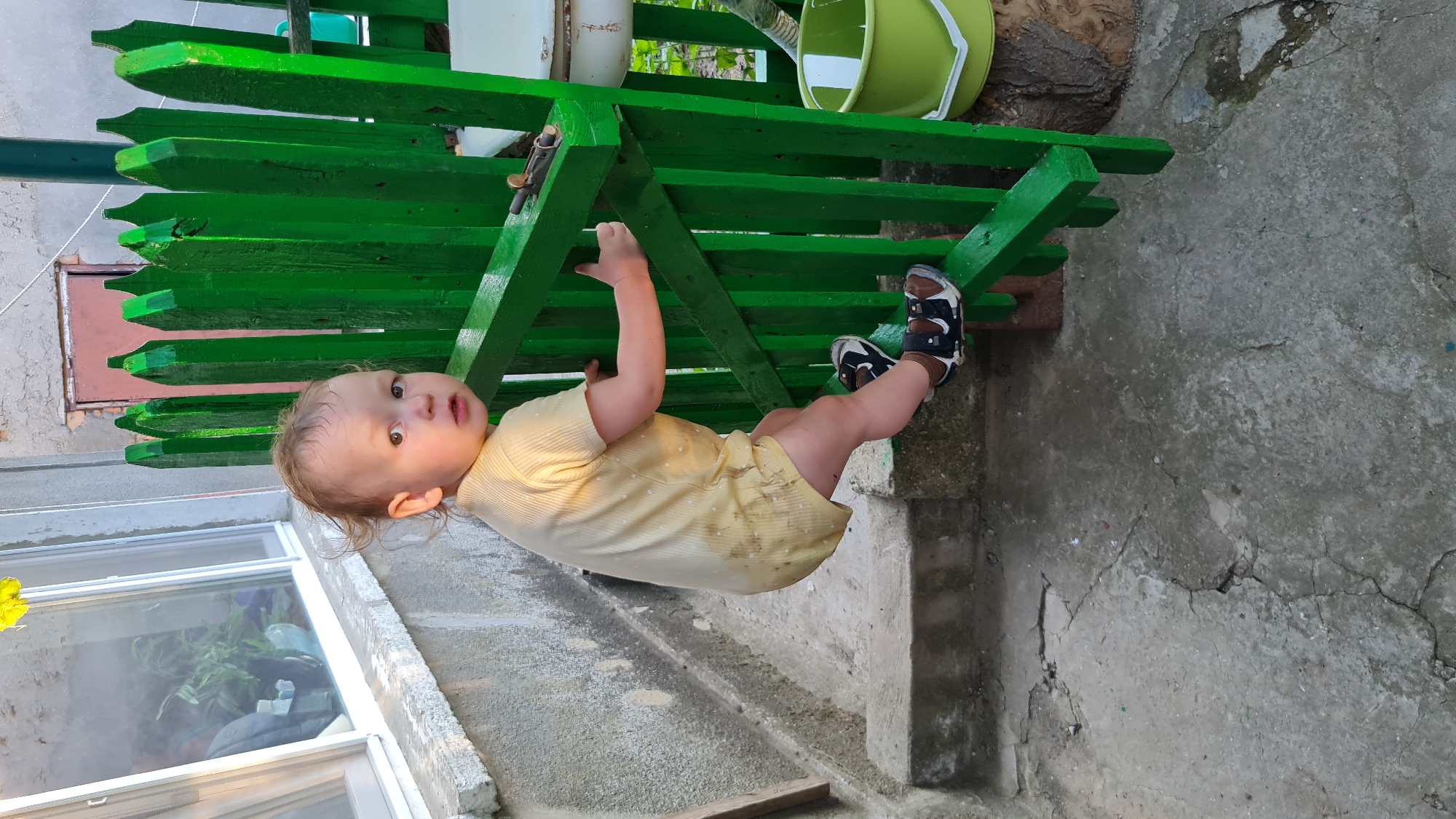 A young child, appearing to be a toddler, is positioned on the lower horizontal bar of a bright green wooden fence. The child is facing away from the camera, with their head turned slightly to the left, making eye contact with the viewer. They are wearing a pale yellow onesie adorned with small white polka dots, which appears slightly soiled. Dark brown sandals with white and blue accents are on the child's feet. The child's left hand is grasping the fence for support. The fence is constructed of vertical, pointed wooden palings, painted a vibrant green. The ground beneath the fence is a cracked concrete surface. To the left of the fence, there are concrete steps leading upwards, and a window with visible plants behind it. To the right of the fence, a pale green bucket sits on a log. The overall environment suggests an outdoor, possibly backyard, setting in a residential area. The location is identified as Salhany, Ukraine.