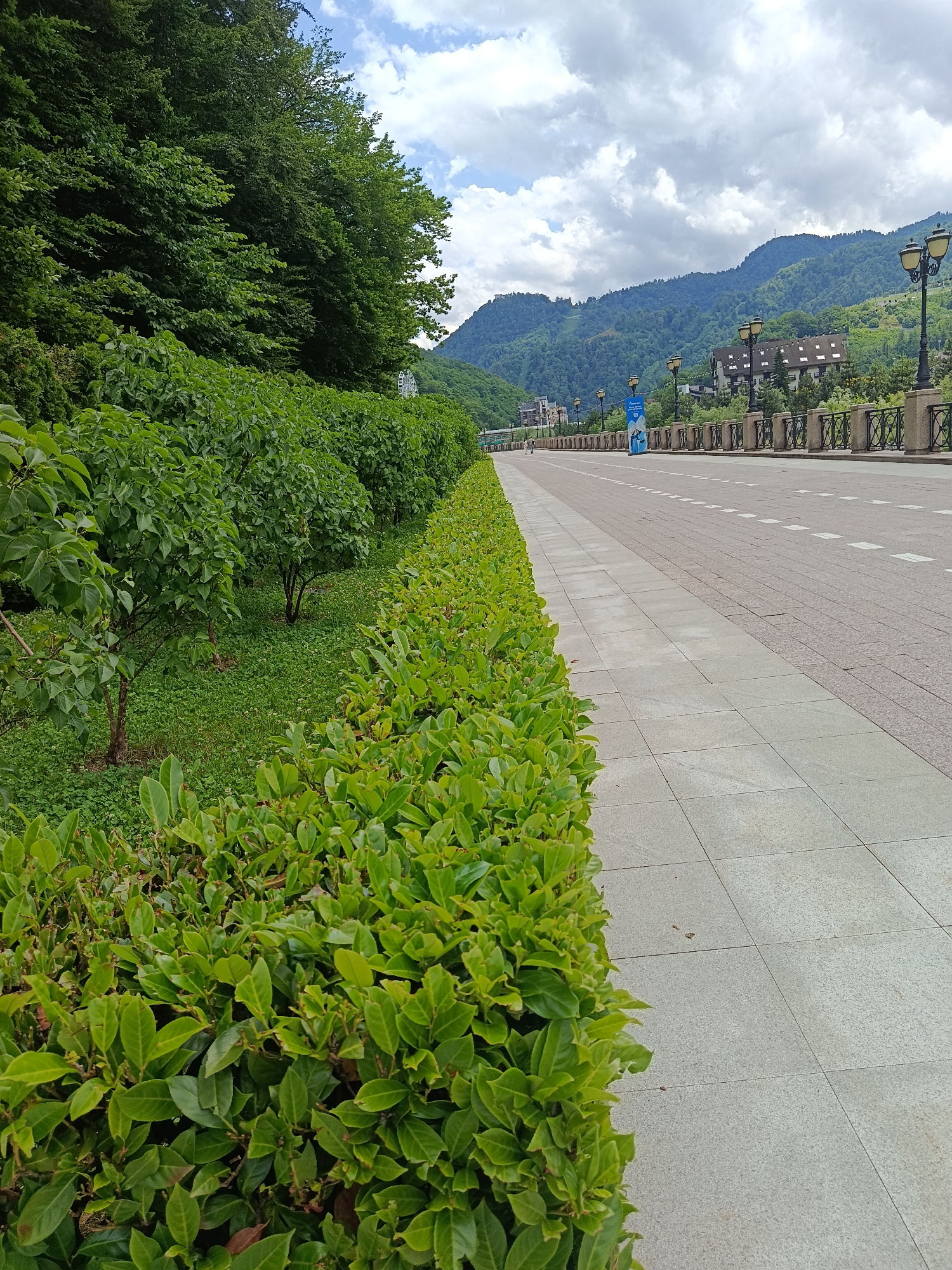 The image depicts a scenic view of a road and pedestrian walkway in Estosadok, Russia, bordered by lush greenery. On the left, a well-maintained hedge of vibrant green bushes lines the edge of the walkway. Behind the hedge, several small trees with full canopies are visible, interspersed with green grass. Further in the background, a dense forest covers the slopes of rolling mountains.
The walkway is paved with large, light-colored square tiles, creating a clean and modern pathway. It runs parallel to a road, which appears to be asphalted and marked with dashed white lines. On the right side of the road, a decorative stone railing with black metal embellishments runs along the embankment. Streetlights with multiple globes are spaced along the railing, suggesting an urban or resort area. In the distance, buildings with pitched roofs are nestled into the mountainside, and a Ferris wheel can be seen on one of the peaks. The sky is partly cloudy, with a mix of white and gray clouds against a pale blue backdrop. A single person on a bicycle is visible on the far left side of the road, adding a sense of scale and activity to the tranquil scene.