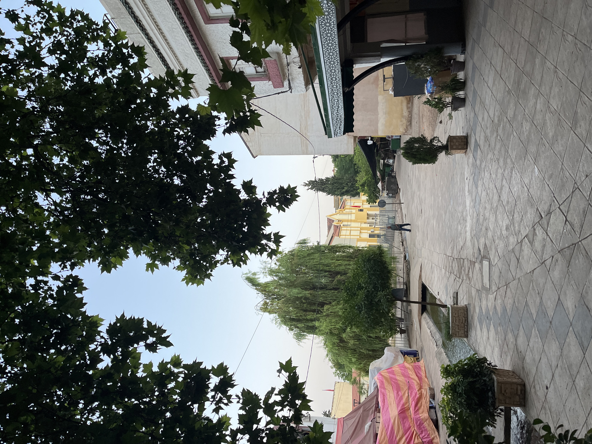 This is a medium-shot, eye-level, outdoor photograph of a town square in El Hajeb, Morocco. The foreground is dominated by a tiled courtyard with a water channel running along the left side. Large trees with dark green leaves frame the top of the image. In the mid-ground, a weeping willow tree stands prominently in the center, with a few other smaller trees and potted plants scattered throughout. Buildings with light-colored walls and some decorative elements line the right side of the square. A person in dark clothing is walking away from the camera towards the right mid-ground. The sky is clear and pale blue, indicating it is likely morning or late afternoon. The overall atmosphere suggests a peaceful, somewhat quiet urban setting.