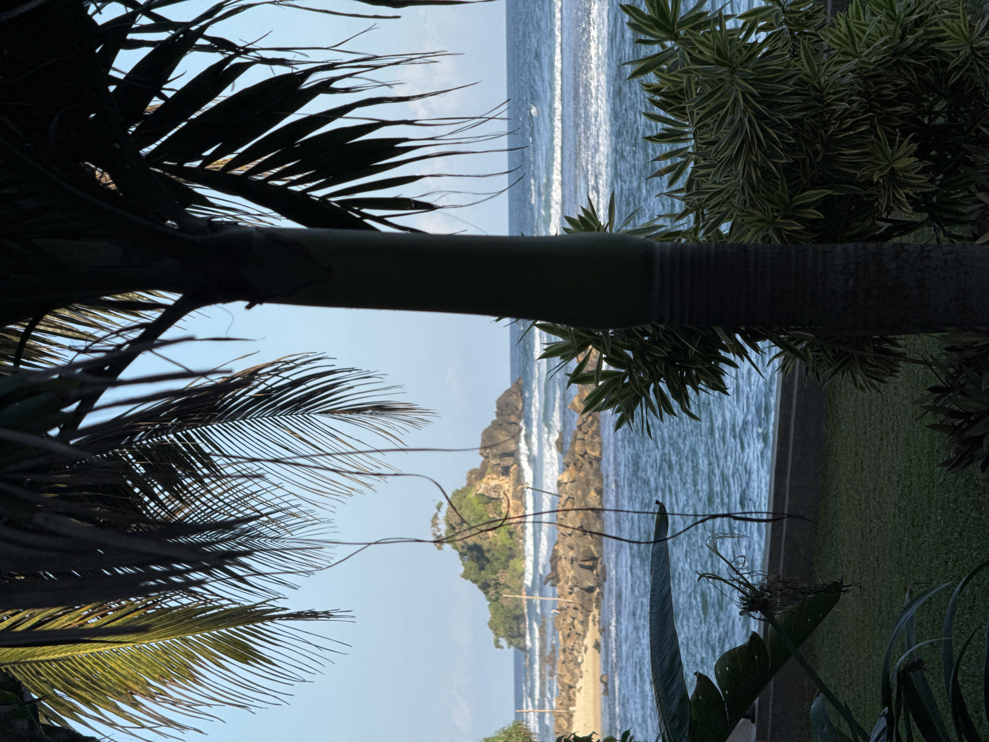The image shows a scenic view of the ocean from a tropical location. In the foreground, a palm tree trunk is visible on the right side of the frame, with its leaves casting shadows and partially obscuring the view. In the middle ground, the ocean extends towards the horizon, with gentle waves breaking on the shore. A small, rocky island covered in lush greenery sits in the ocean, with waves crashing against its base. The island is dotted with trees and appears to be a significant landmark. In the immediate foreground, there is a well-maintained lawn and some leafy plants, suggesting a garden or park area. The sky is a clear blue with a few wispy clouds. The overall impression is one of a tranquil, tropical paradise. Based on the distinctive rocky island, this scene is identifiable as near the **Taprobane Island** in **Goviyapana, Sri Lanka**.