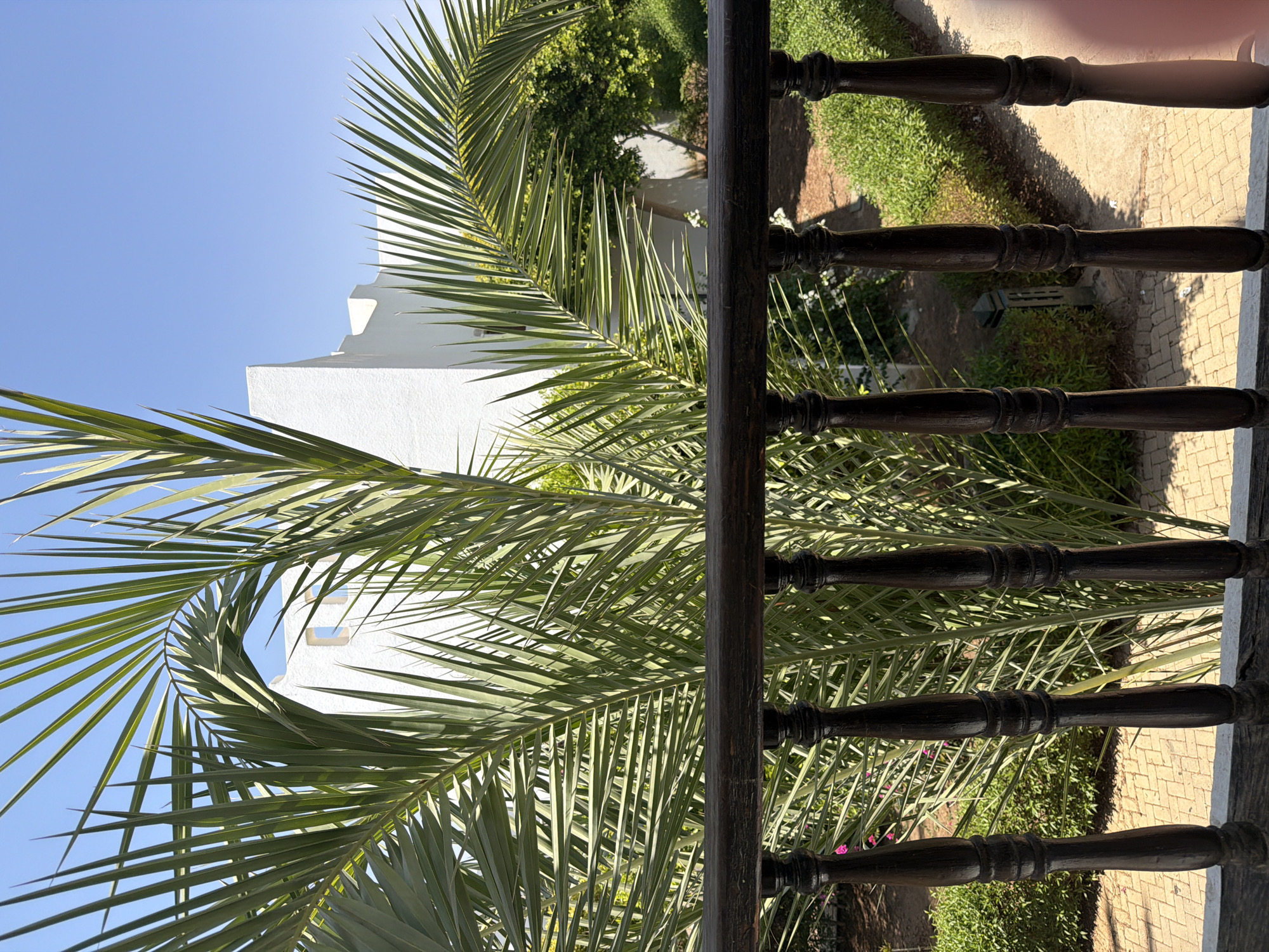 The image depicts a sunny day with a clear blue sky, viewed from behind a dark wooden railing with turned balusters. In the foreground, the railing and balusters are prominent. Beyond the railing, lush green palm fronds dominate the scene, obscuring much of the background. Through gaps in the palm leaves, a modern white building with geometric architectural features and some windows is visible. The building appears to be in the style often seen in resorts or residential complexes in Sharm El Sheikh, Egypt, characterized by its clean lines and bright white facade. The surrounding area shows a well-maintained garden with green bushes and a brick pathway. Sunlight casts shadows, indicating the time of day. The overall impression is of a tranquil, resort-like setting.