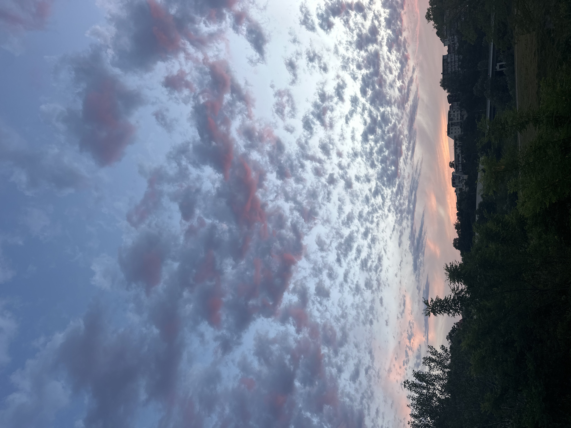 The image depicts a sky filled with scattered clouds tinged with pink and purple hues, suggesting either a sunrise or sunset. Below the sky, a line of trees forms a dark silhouette against the horizon. Beyond the trees, a cluster of multi-story buildings is visible on a hillside, indicating a populated area. A bridge can be seen in the mid-ground. The overall impression is a scenic view of a town or city nestled among rolling hills, captured during twilight. The location is identified as Razdolnoye, Russia.