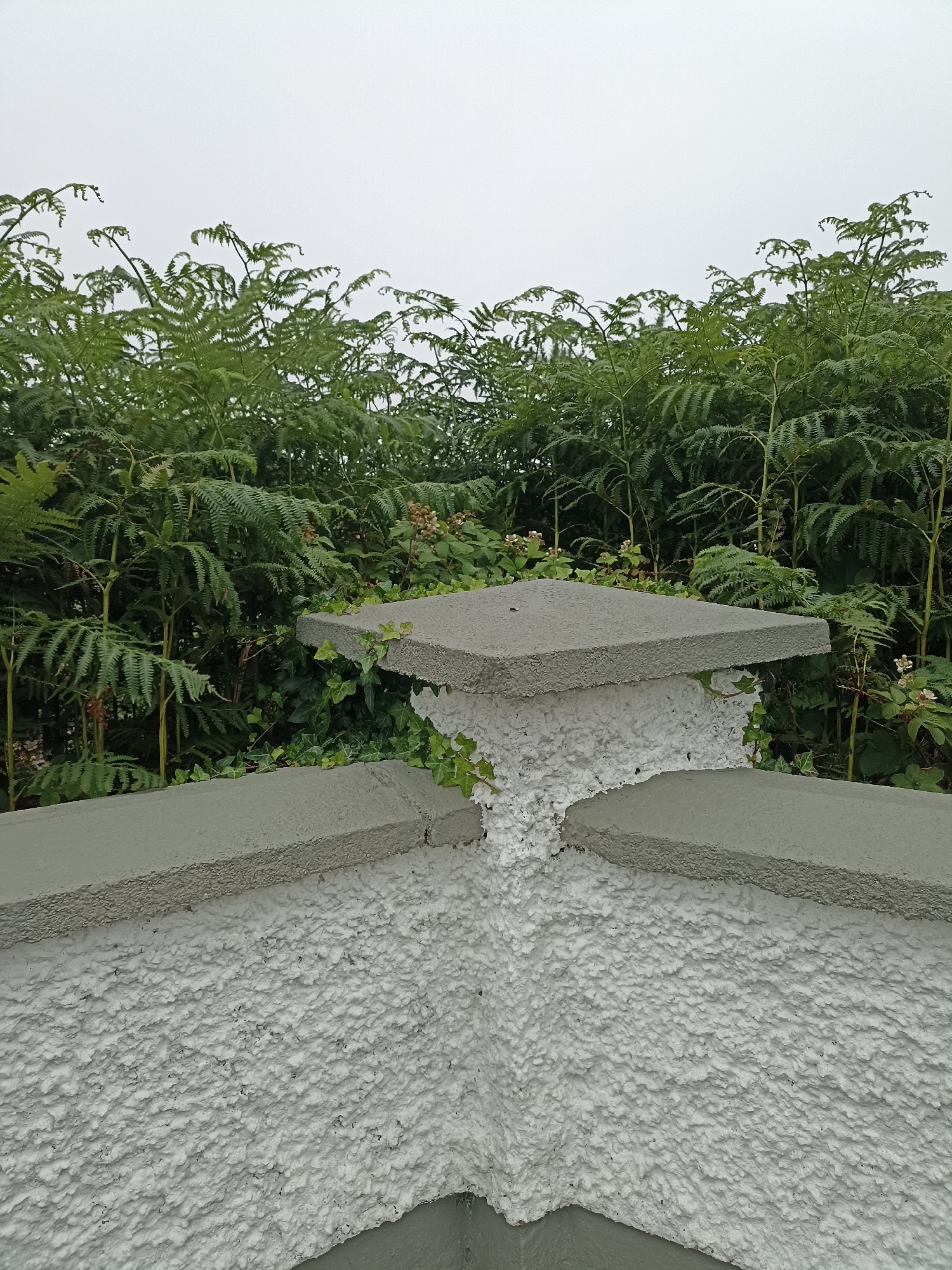 This image depicts a close-up view of the top of a textured white concrete pillar in Annagry West, Ireland. The pillar is capped with a flat, grey concrete slab. Two grey concrete ledges extend outwards from the top of the pillar. Behind the pillar, a dense growth of green bracken ferns and some ivy are visible. The sky is overcast and appears pale grey. There are no people or animals in the image.