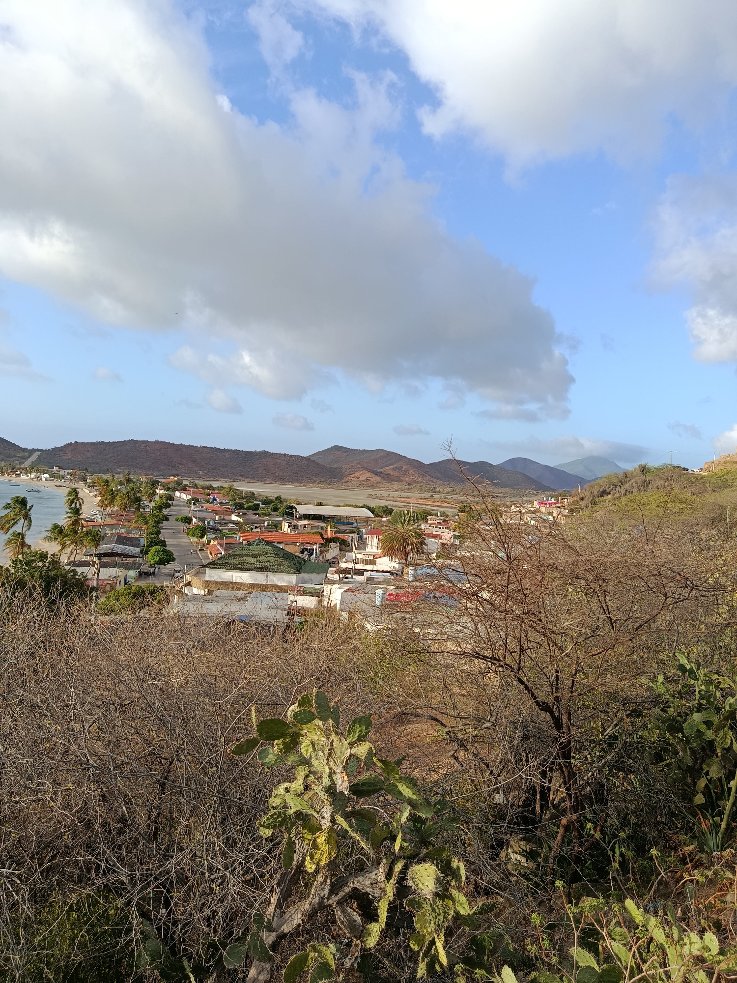 A panoramic, slightly elevated, wide shot captures a coastal town in Juan Griego, Venezuela, under a partly cloudy sky. In the foreground, the scene is dominated by dry, thorny bushes and prickly pear cacti, with their spiny pads reaching towards the viewer.
Beyond the immediate vegetation, the town unfolds. A road runs parallel to a sandy beach, lined with palm trees. The buildings are a mix of single and two-story structures with red, orange, and white roofs, some with pitched, tiled designs and others with flat, lighter surfaces.
The town hugs the coastline, where a calm, turquoise body of water is visible, with a few small boats anchored near the shore. The water meets a sandy beach dotted with more palm trees. In the background, arid, reddish-brown hills and mountains rise, some appearing more distant and layered, with a hazy, bluish-green hue in the far distance. The sky above is a vibrant blue, interspersed with large, puffy white and gray clouds, casting shadows on the landscape. The overall impression is a dry, sunny coastal environment.