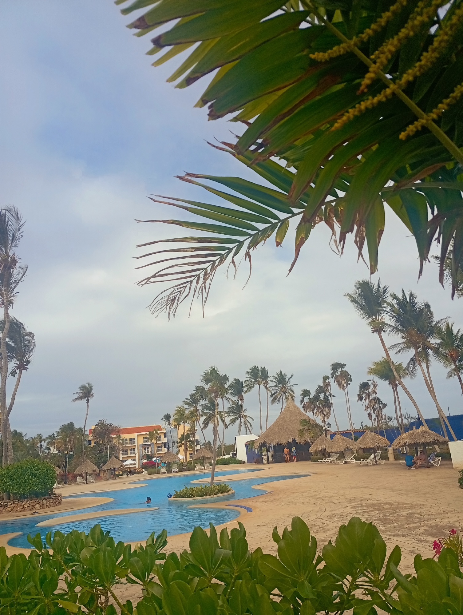 The image captures a resort scene in Playa El Agua, Venezuela. A winding blue swimming pool with swimmers dominates the foreground. Palm trees surround the pool area, with thatch-roofed umbrellas providing shade. A multi-story building with orange accents stands in the background. The sky is overcast, and foliage frames the lower and upper portions of the scene.