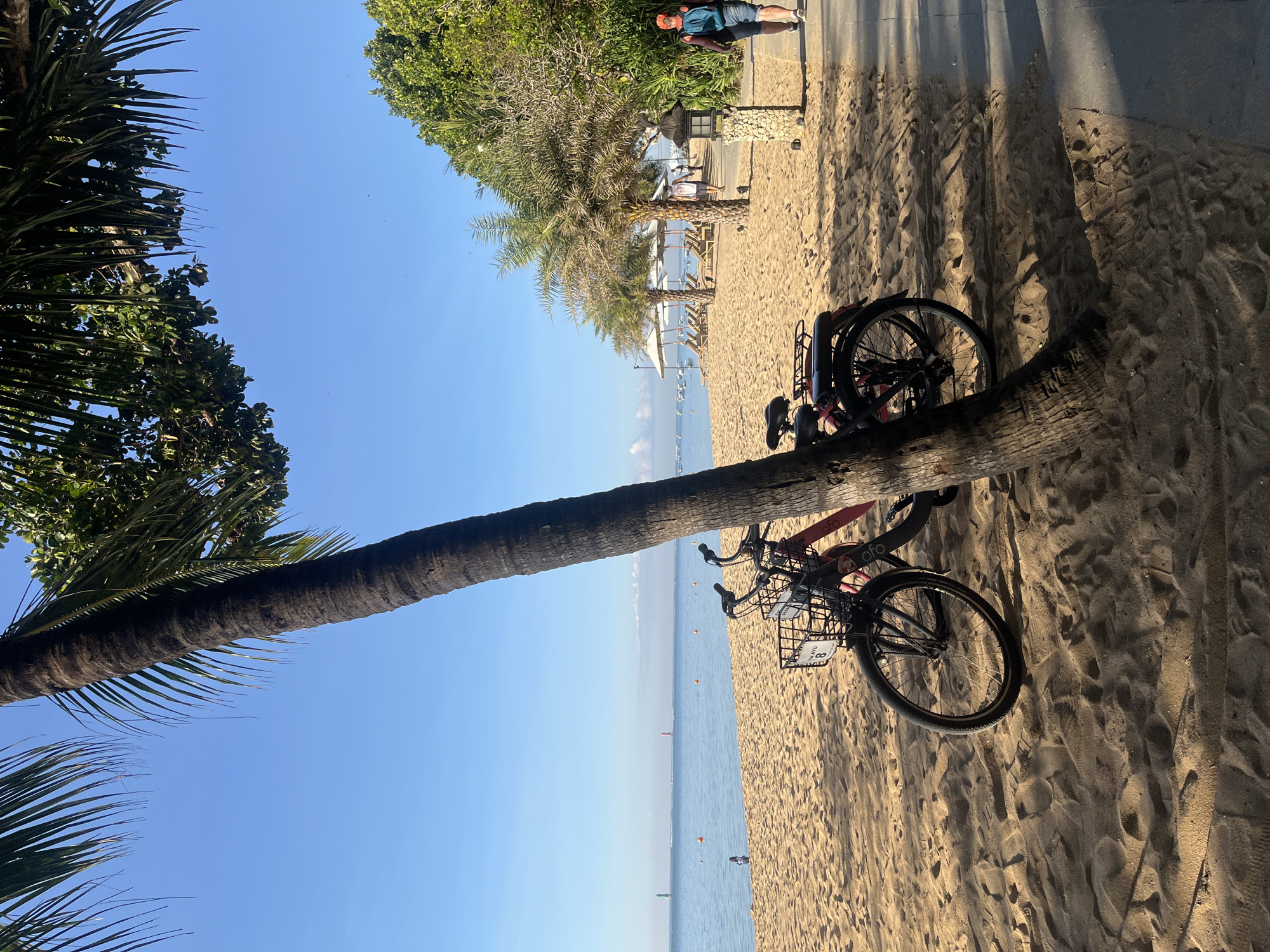 This image depicts a beach scene in Denpasar, Indonesia, likely along a well-trafficked area due to the presence of bicycles. In the foreground, two bicycles are parked next to a large palm tree, casting shadows on the sandy ground. The bicycles appear to be rental bikes, with baskets on the front and visible branding.
The beach itself is sandy, with gentle waves lapping at the shore. The ocean stretches out to the horizon, under a clear blue sky. In the distance, several boats are visible, suggesting activity on the water. Along the edge of the beach, a paved pathway runs parallel to the sand, lined with palm trees and lush green foliage.
Further down the pathway, several lounge chairs and umbrellas are set up, indicating a resort or public beach area. A few people are present on the pathway, one person walking towards the viewer with a backpack and wearing a hat, and others further in the distance. The overall atmosphere is peaceful and tropical, with a sense of leisure and outdoor activity. The lighting suggests it is either morning or late afternoon, given the long shadows.