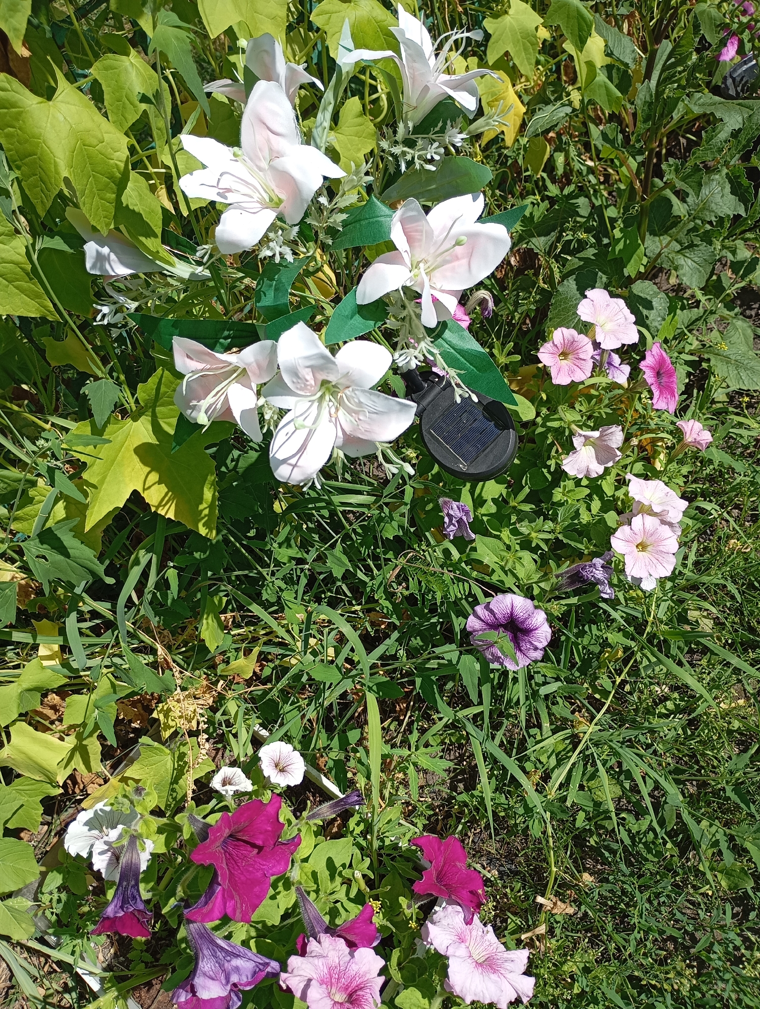 This is a high-angle, medium shot of a flowerbed on a sunny day, likely located in the village of Lnikha, Russia. The scene is dominated by lush green foliage and a variety of flowers, including large white lilies, pink petunias, and deep purple petunias. The lilies appear to be artificial, with some green plastic stems visible. Among the flowers, a small, black solar-powered light with a solar panel is placed. The ground is covered with dry leaves and soil. The overall impression is one of a well-maintained, albeit slightly untidy, garden.