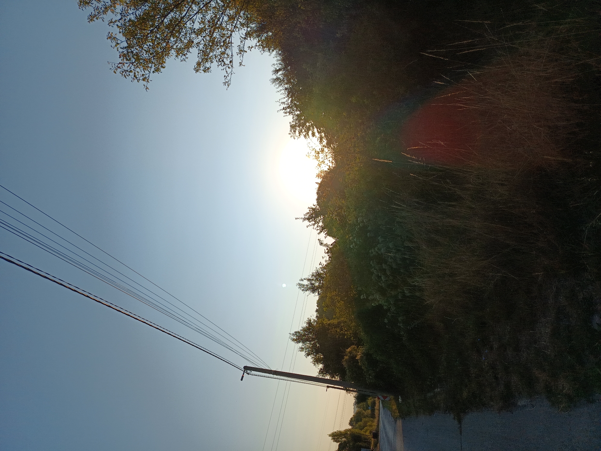 The image captures a rural roadside scene in Kralev Dol, Bulgaria, during either sunrise or sunset. A paved road runs along the left side, bordered by a ditch and overgrown vegetation including tall grasses and bushes. A wooden utility pole with multiple wires stretches diagonally across the sky. The sky is a clear, pale blue, with the sun partially obscured by trees and vegetation on the right side of the frame, creating a lens flare effect. A faint circular object, possibly the moon, is visible in the sky above the trees. The overall impression is one of a natural, undeveloped landscape.