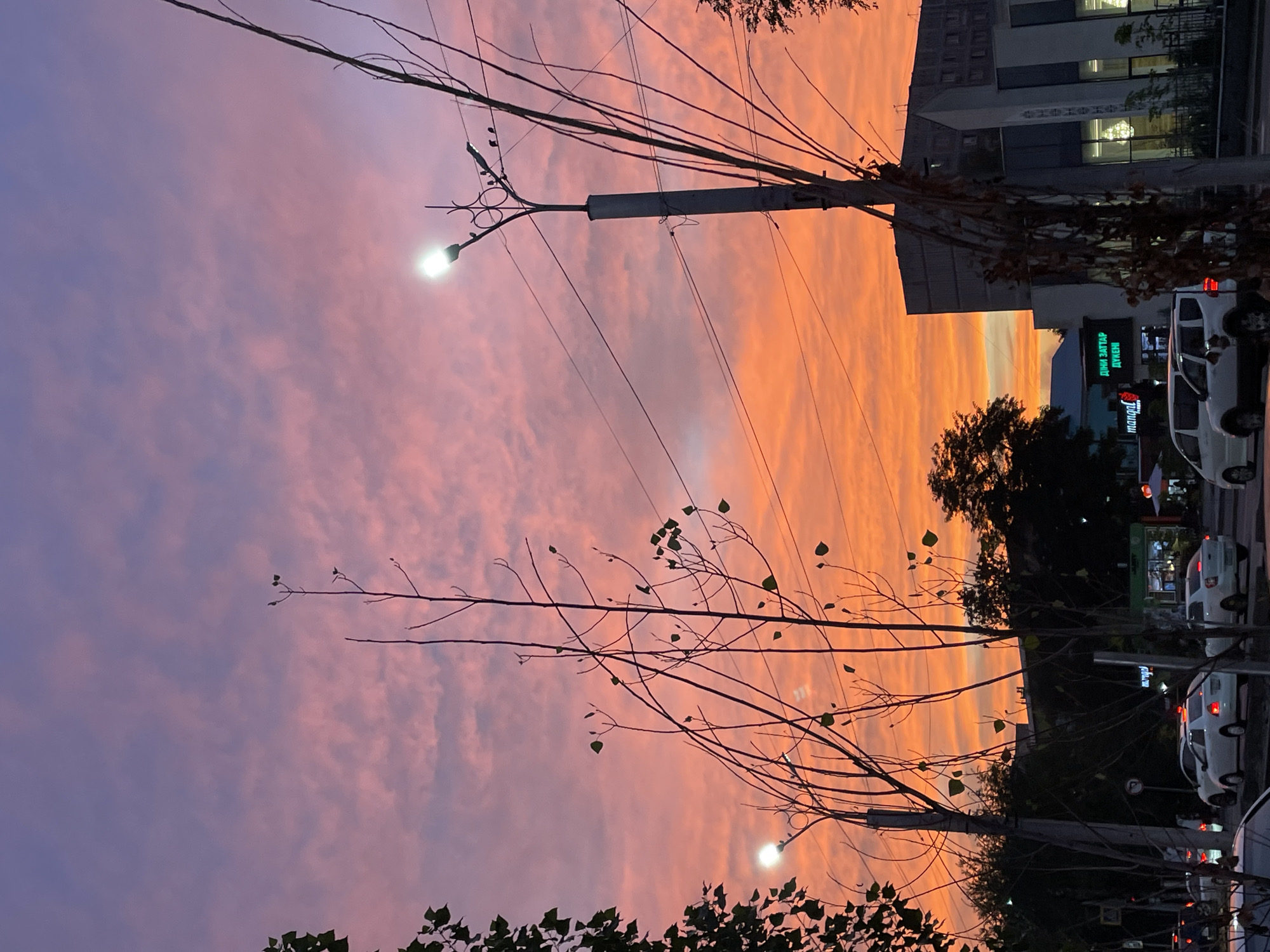 The image captures a vibrant sunset over a city street in Almaty, Kazakhstan. The sky is a dramatic blend of deep purples at the top transitioning into fiery oranges and pinks lower down, with scattered clouds enhancing the colorful display. In the foreground, bare tree branches, some with a few sparse leaves, create a silhouetted pattern against the sky. A prominent lamppost with a bright light stands tall, adorned with decorative scrollwork and what appear to be small birds perched on its upper structure. Power lines crisscross the scene.
Along the street, several vehicles are visible, including white sedans, a white van, and a white SUV. The cars are either stationary or moving slowly, suggesting moderate traffic. Buildings line the street; one appears to be a modern, multi-story structure with a lighter facade. Signs on the buildings are in a Cyrillic script, with one clearly legible sign in green stating "ДНИ ЗАУТАР ДУКЕНІ." Another sign reads "mangal." The overall impression is a metropolitan street scene during twilight, with nature's dramatic sky as a backdrop. The presence of Cyrillic script on the signs confirms the location as Kazakhstan.