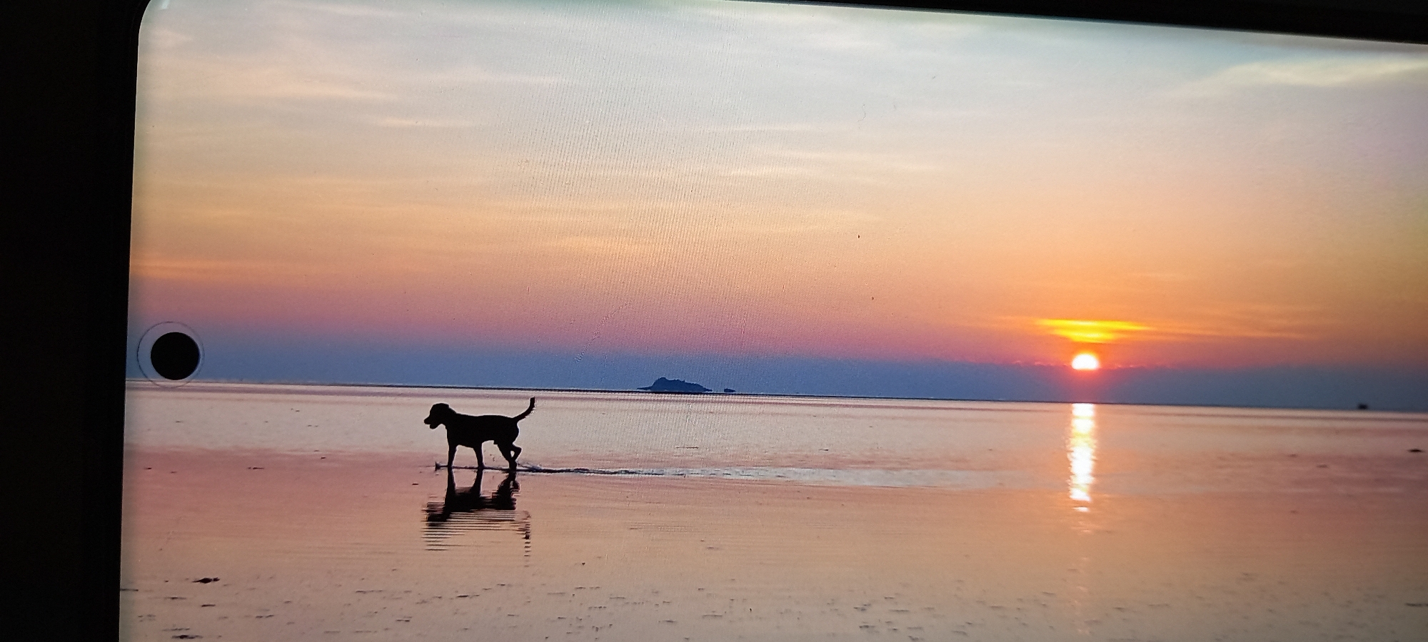 A photograph taken in Baan Chaloklum, Thailand, shows a dog walking on a beach at sunset. The sun is setting on the horizon, reflecting off the water. An island is visible in the background.