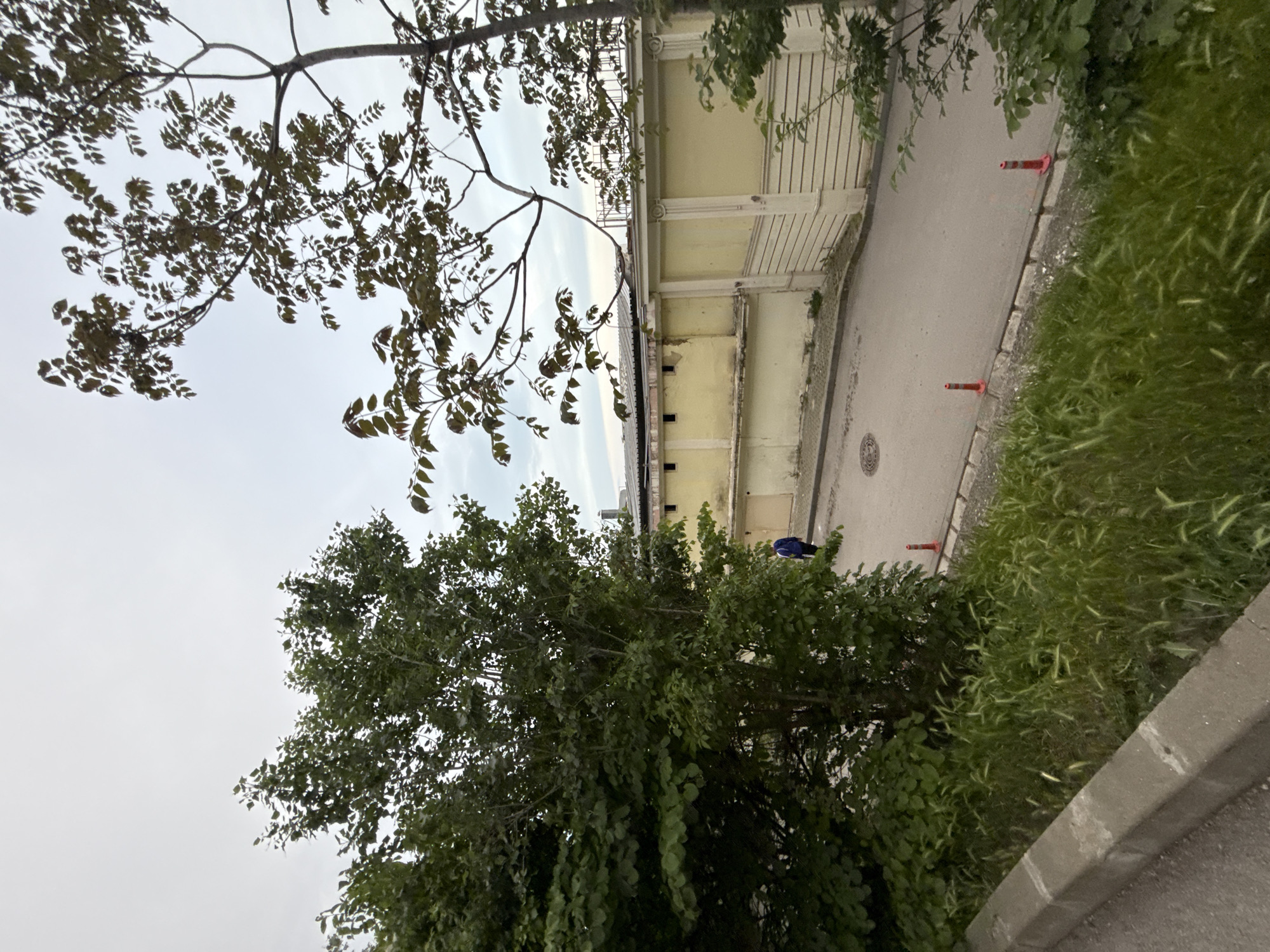 The image shows an outdoor scene in Varna, Bulgaria, looking down on a street alongside a building and bordered by greenery. The sky is overcast.
The building is a beige or light-yellow structure with a row of small, rectangular openings near its base. Its facade features a pattern of vertical grooves or panels. The adjacent street is paved and has a manhole cover. Orange traffic cones are spaced along the edge of the street. A person wearing blue clothing is walking along the street.
The foreground is dominated by lush greenery, including a tree with dense foliage and tall grass. A concrete curb or edge is visible along the lower right of the frame. Another tree is positioned near the top left of the frame.