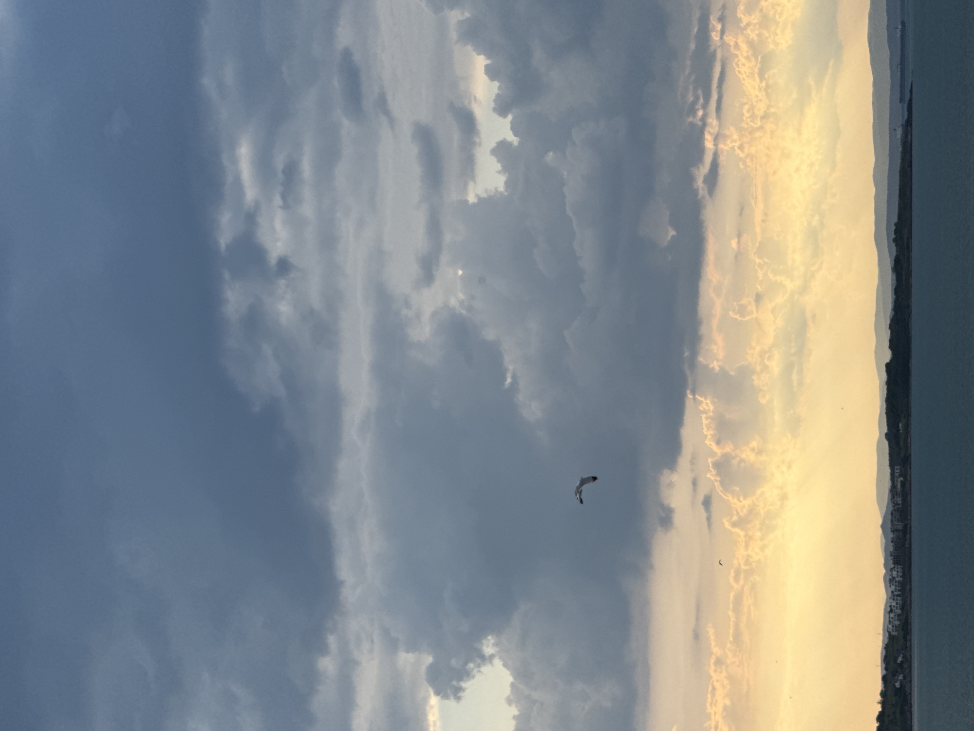 The image shows a landscape scene, likely taken in Sozopol, Bulgaria. The sky occupies a significant portion of the image, featuring a mix of dark, stormy clouds on the left and bright, golden clouds on the right, possibly indicating a sunset or sunrise. A single seagull is flying in the mid-sky. In the distance, there's a shoreline with visible vegetation and building structures, suggesting a coastal city setting. The water is visible on the right side, merging with the land.