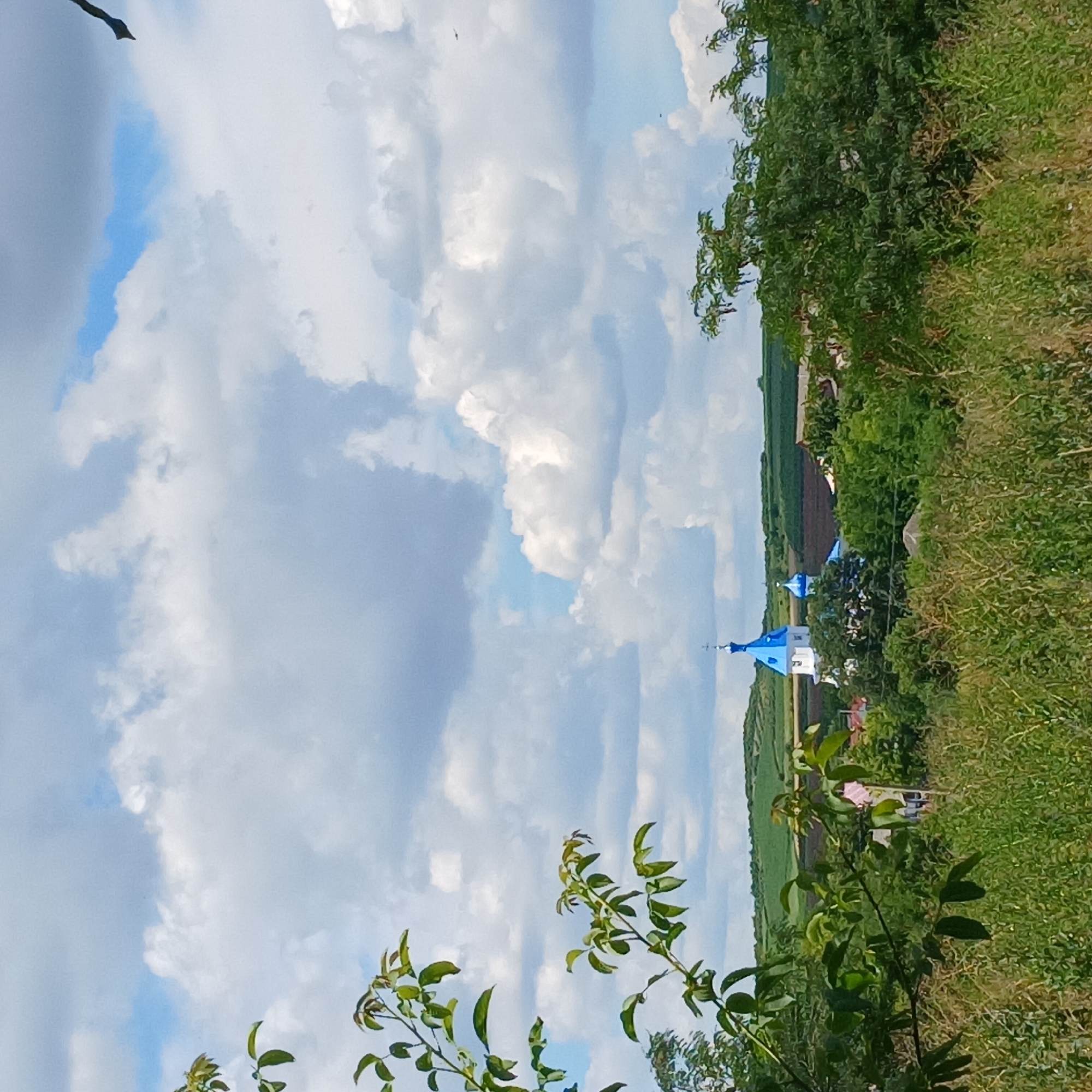 This image captures a serene rural landscape in Căzănești, Moldova. In the background, a prominent church with a bright blue dome stands out against a sky filled with dramatic white clouds. The church is surrounded by lush green trees and fields, suggesting a peaceful and idyllic setting. In the foreground, the branches of a leafy tree partially obscure the view, adding depth and a natural framing to the scene. The overall impression is one of a tranquil, sunlit day in the Moldovan countryside, with the church serving as a focal point within the verdant environment.