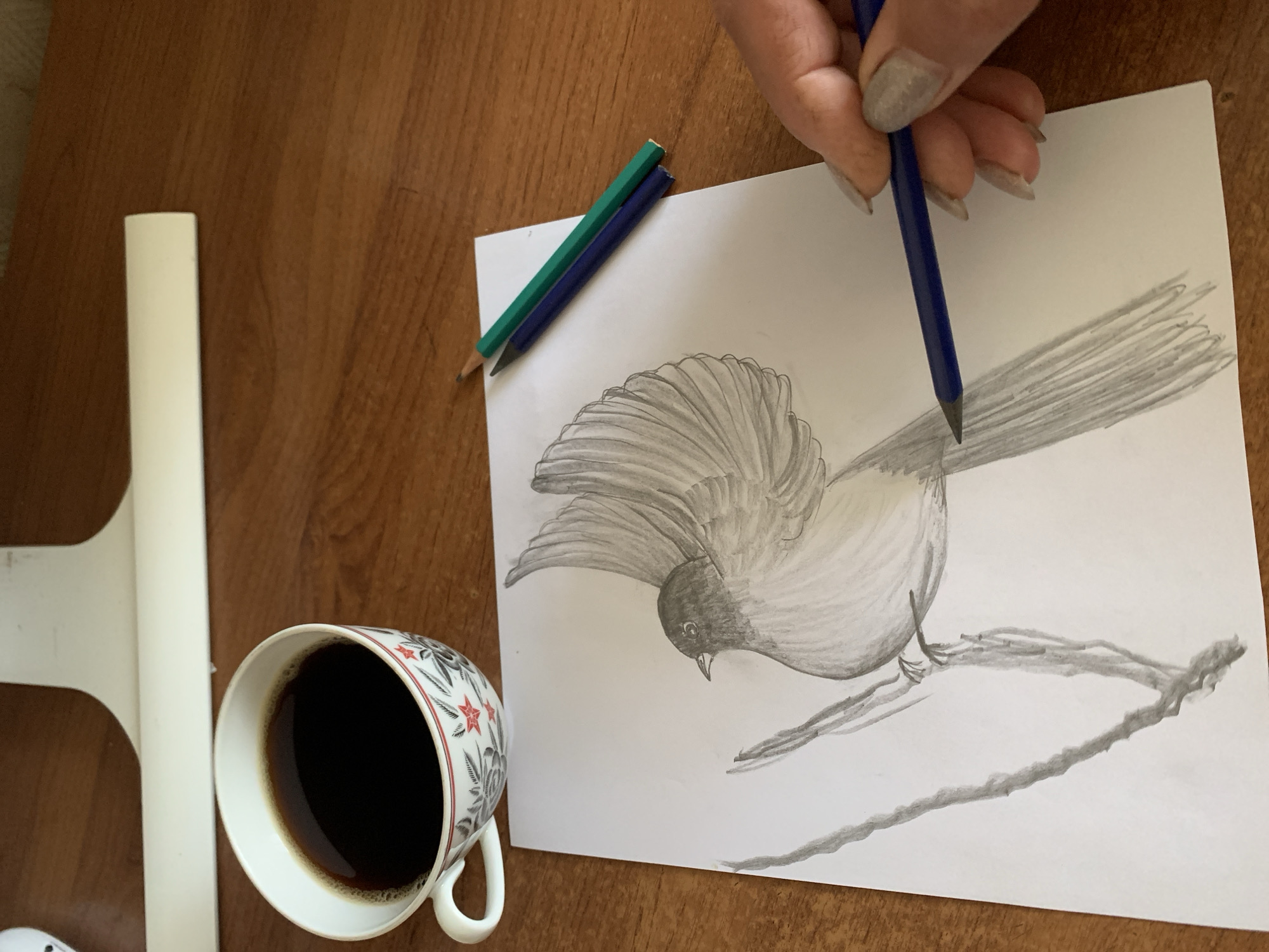 A close-up, high-angle shot shows a sketch of a bird on a piece of paper, positioned on a wooden desk. A white coffee cup filled with dark coffee sits to the left of the paper. Two colored pencils, green and blue, rest on the paper to the right of the bird sketch. A person's hand, with manicured nails, is holding a blue pencil and appears to be drawing on the paper. The background is a blurred wooden surface. The scene is indoors, likely a home or office environment. There is no indication of the city of Kavalerovo, Russia, in the image.