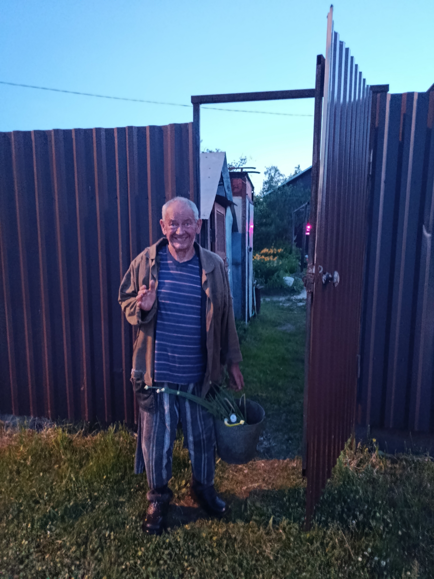 An elderly man with fair skin and gray hair stands in front of an open corrugated metal gate, smiling and waving with his right hand. He wears a blue and white striped t-shirt, a brown jacket, and blue and white striped pants, with dark shoes. His left hand holds a dark bucket containing green leafy vegetables. A small white object is visible near his left hip. He is positioned on a grassy patch. Behind him, through the open gate, a dirt path leads to multiple outbuildings and dense foliage, with a red light source visible in the distance. To the left of the man is a dark brown corrugated metal fence. The sky above is light blue, indicating twilight. The scene is located in the city of Верея, Russia.