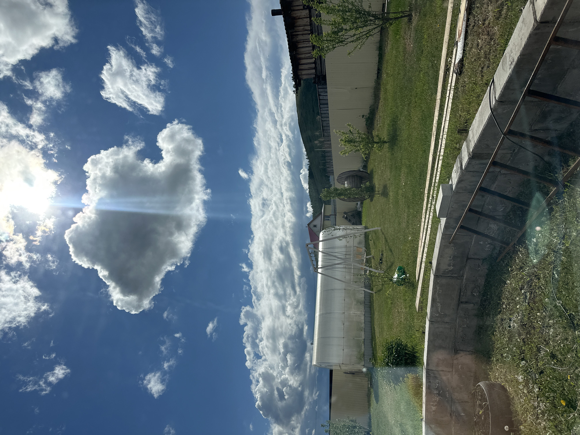The image depicts an outdoor scene in Unknown, Unknown, capturing a bright sunny day with a vivid blue sky partially filled with puffy white clouds, one of which is prominent and heart-shaped near the sun. The lower half of the image is filled with a green lawn, a greenhouse, a wooden structure or building, a retaining wall made of stone, and some trees and bushes. The perspective suggests the photo was taken from indoors looking out through a window. There are no people visible in the frame.