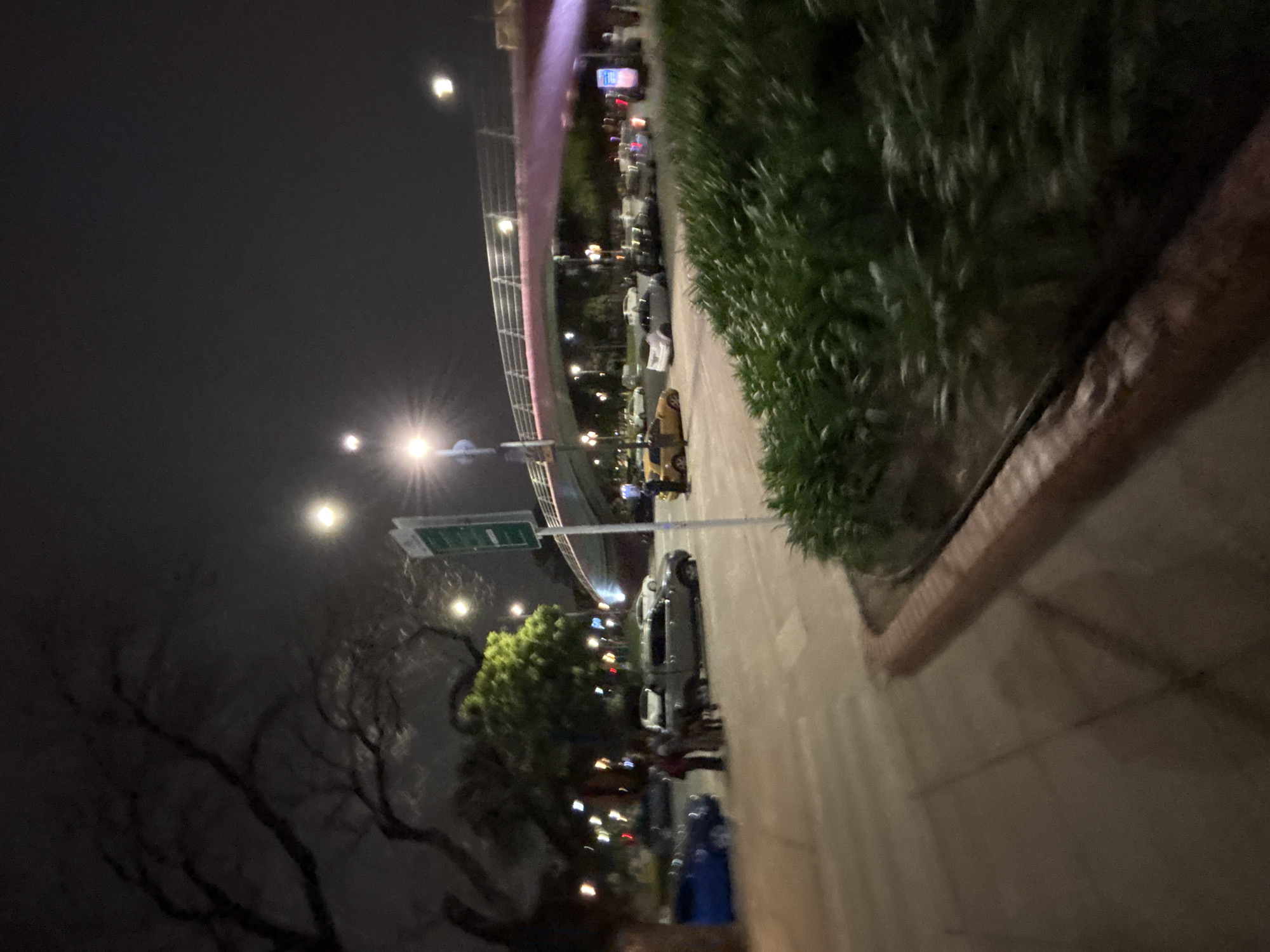 This image shows an urban scene at night in Buenos Aires, Argentina. The photo appears to have been taken from a sidewalk. Visible is a bridge with lights. There are streetlights illuminating the area. Cars are parked along the street. There are green bushes. To the left, tree branches are visible against the night sky. The overall scene suggests a quiet urban area, possibly a residential neighborhood with a nearby bridge.