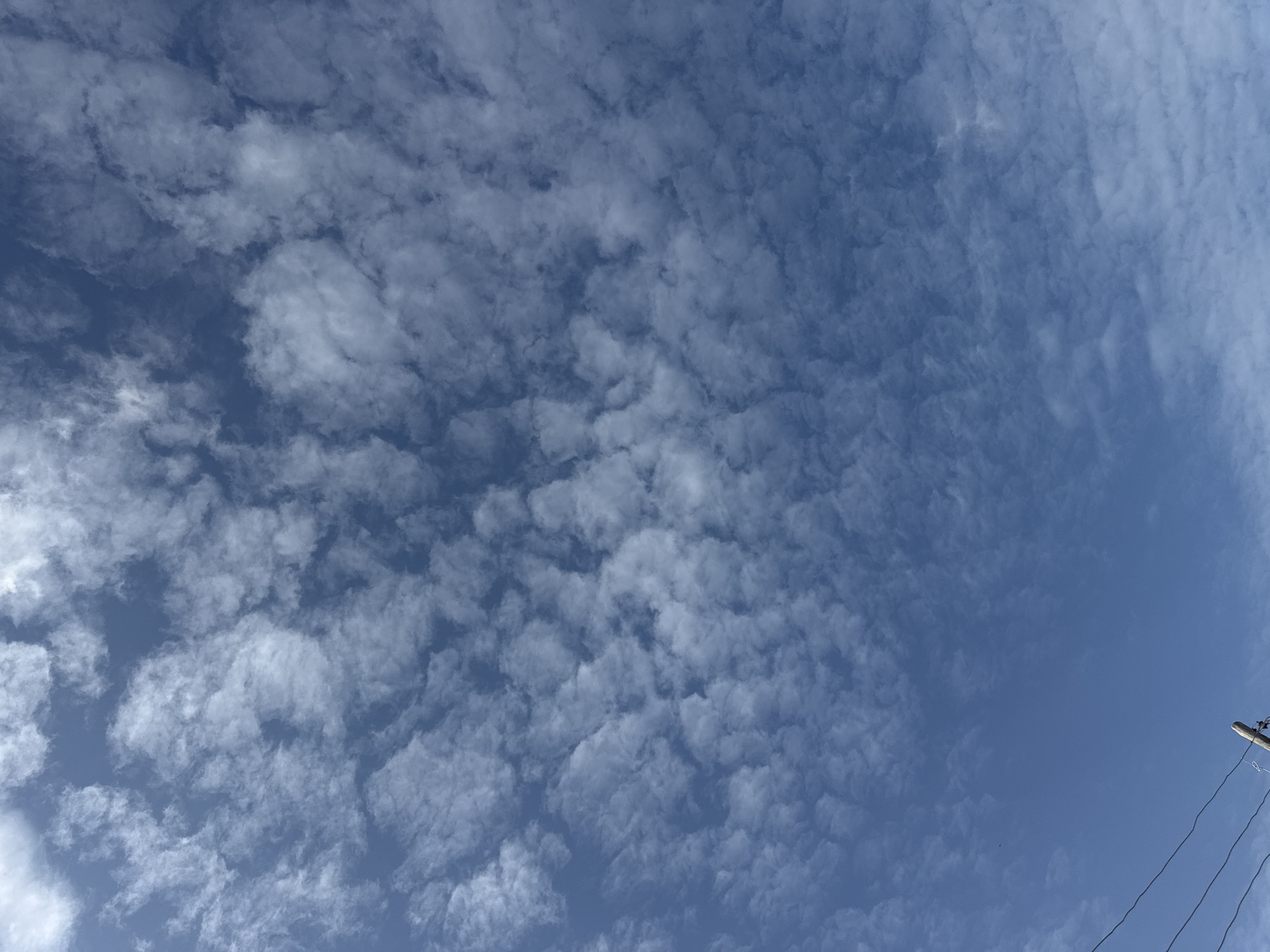 A wide-angle, eye-level, outdoor shot captures a vast expanse of blue sky filled with small, scattered, white clouds. The clouds are a mix of puffy and wispy formations, creating a textured pattern across the upper two-thirds of the image. In the lower left corner, the top of a wooden utility pole with a few black wires extending horizontally is visible. The scene appears to be a clear day with good visibility.