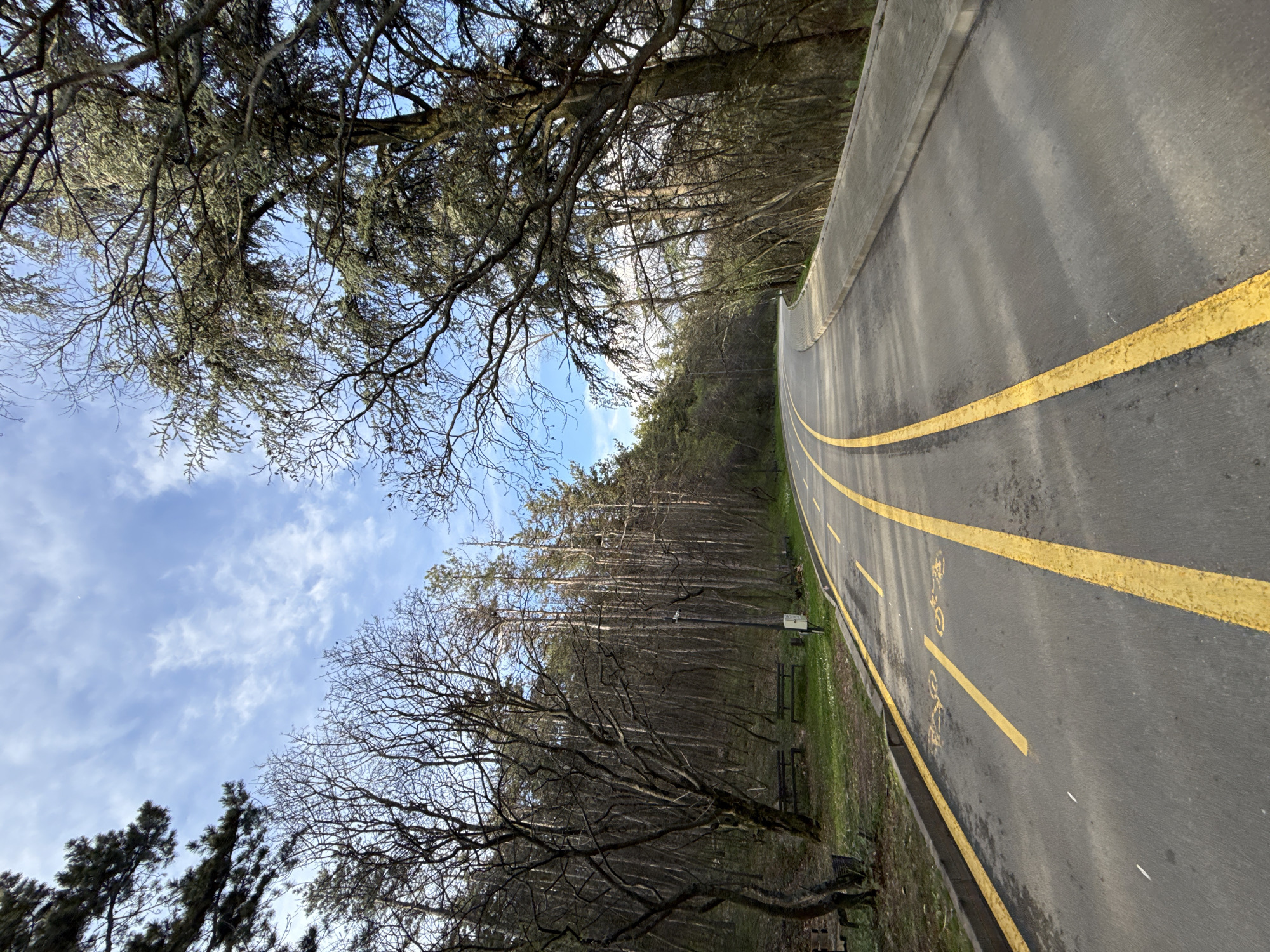 The image shows a paved path with double yellow lines winding through a wooded area. The sky is visible through the bare tree branches, and appears partly cloudy. Along the path, there is grass on the sides and hints of benches along the side, suggesting a recreational area. There is a painted symbol of a bicycle on the path, indicating it may be a bike path. It cannot be determined from the image if the location is in Stara Zagora, Bulgaria.