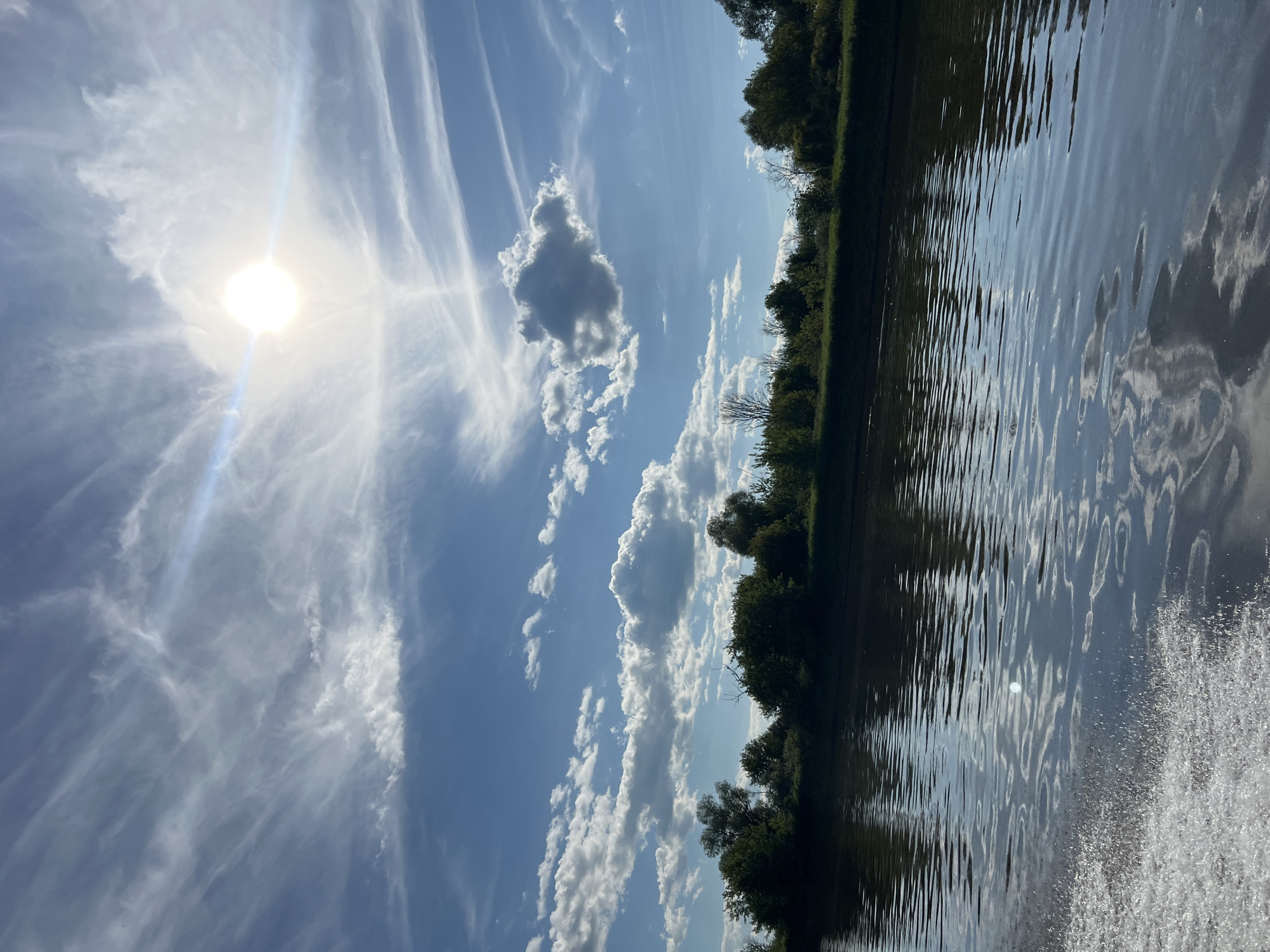 The image depicts a tranquil scene of a body of water, likely a river or lake, with a lush green tree line bordering its edge. The water's surface is rippled, reflecting the bright sky and the surrounding foliage. The sky is a vibrant blue, dotted with a mix of wispy cirrus clouds and larger cumulus formations. The sun is visible, casting a bright, diffused light, suggesting it is daytime, likely mid-morning or afternoon given the sun's position and intensity.
The tree line appears dense and healthy, composed of various deciduous trees, indicating a natural, undeveloped setting. The presence of the water and trees together suggests a riparian environment. The reflections in the water are detailed, showing distorted images of the clouds and the trees, adding depth to the composition.
There are no people or man-made objects prominently featured in the image, emphasizing the natural beauty of the landscape. The overall mood is peaceful and serene, evoking a sense of calm and connection with nature. The scene is likely captured in a rural or natural park setting. The image is oriented vertically.
Given the location context of Ust'-Liuga, Russia, this scene could be representative of the natural landscapes found in that region during the warmer months, possibly during summer or late spring. The weather appears to be fair and sunny, with some cloud cover. The time of day is clearly during daylight hours. There is no visible text in the image.