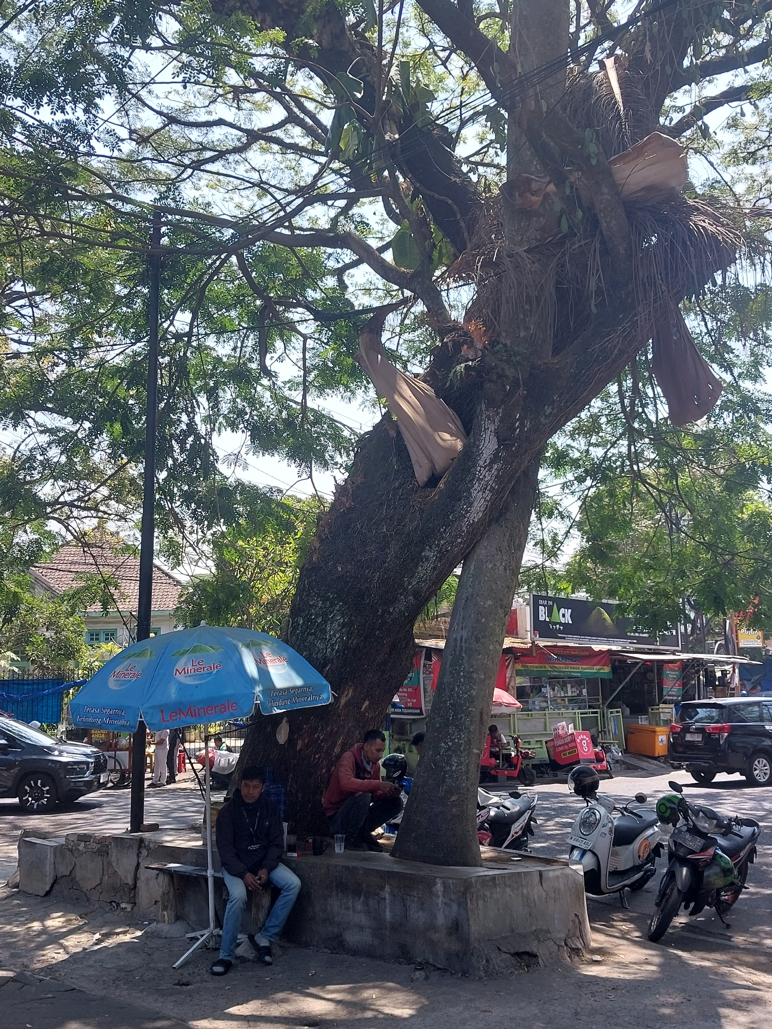 The image depicts a street scene in Malang, Indonesia, under a large, leafy tree. In the foreground, a man in a dark jacket and jeans sits on a concrete ledge under a blue umbrella advertising "Le Minerale." To his right, another man in a red jacket sits on the same ledge, looking down at something in his hands. Several motorcycles are parked nearby. In the background, a street with various food stalls and shops is visible, with cars and a truck on the road. The overall impression is of a typical street scene in a warm, sunny climate.