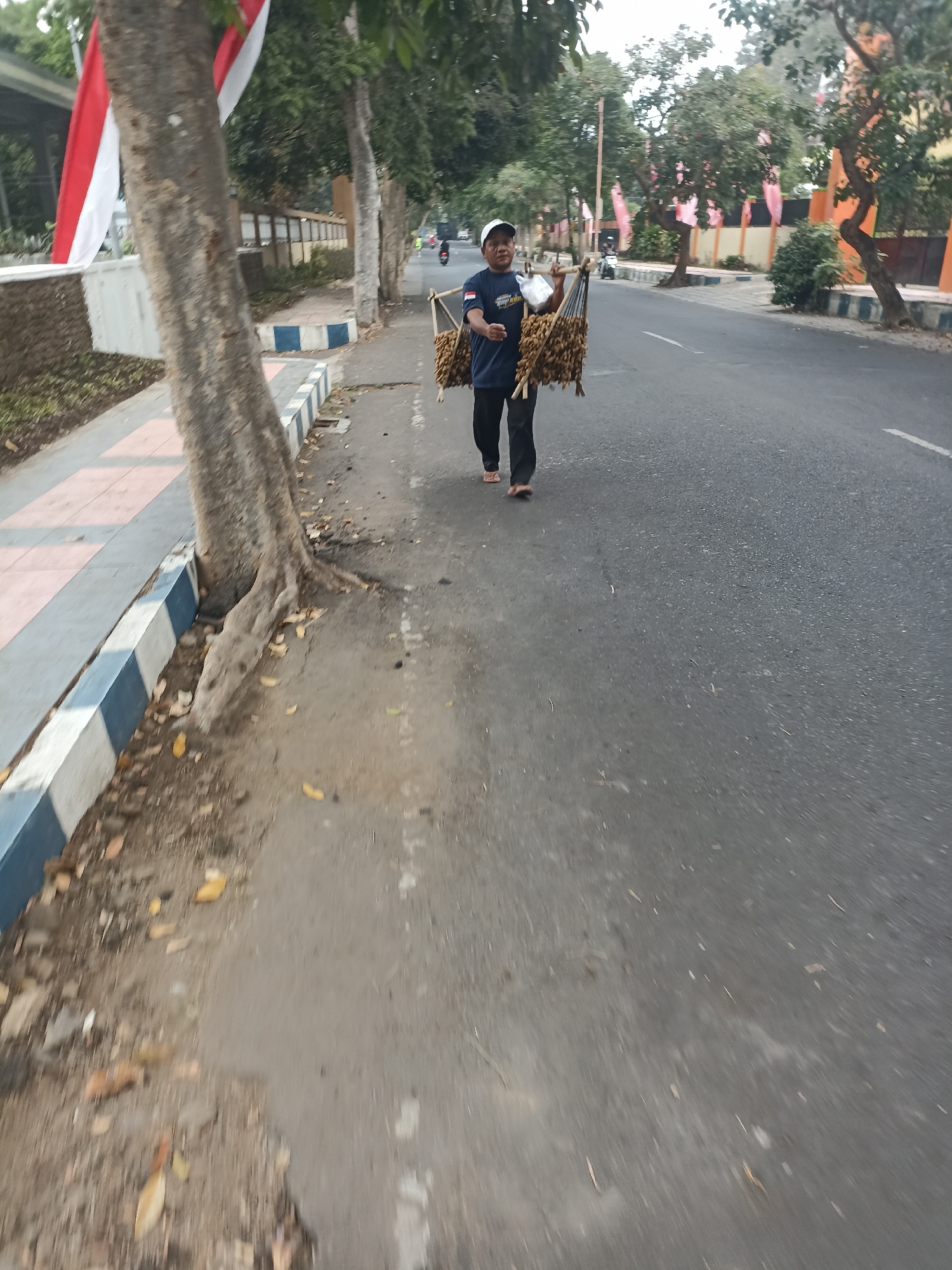 In Mojopanggung, Indonesia, a person walks along a paved road, carrying a shoulder yoke laden with goods. The individual, wearing a dark t-shirt and black pants, has a white cap on their head and is barefoot. The yoke supports two large baskets filled with what appear to be small, brown items, possibly dried goods or produce. To the left of the road, a sidewalk with a red and white patterned surface runs parallel, bordered by a curb with blue and white stripes. A large tree with exposed roots stands prominently on the left side of the image, adjacent to the sidewalk. The environment is characterized by trees and buildings lining the street, with several Indonesian flags, red and white, visible in the background. The road surface is asphalt, and some fallen leaves are scattered on the ground. The scene appears to be captured during daylight hours, with the lighting suggesting it might be early morning or late afternoon.