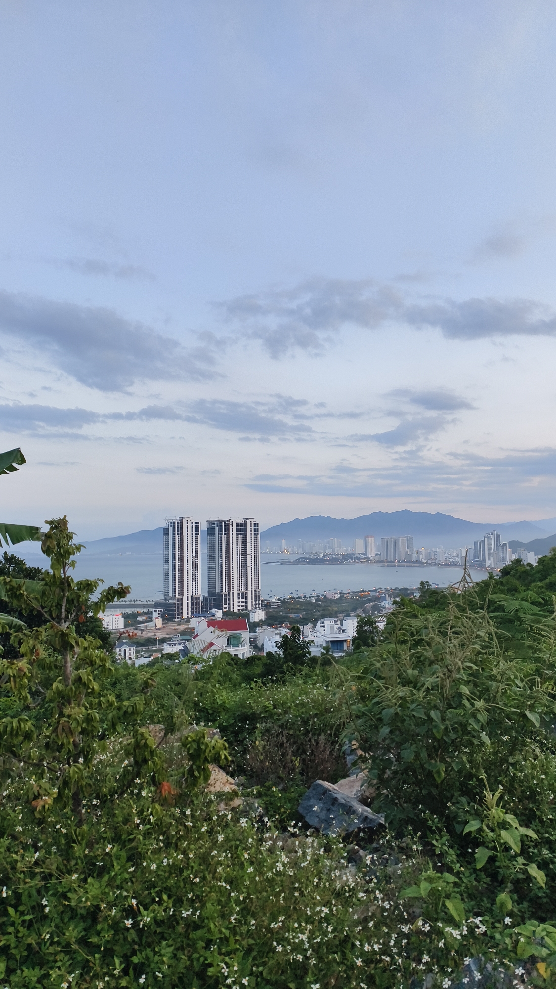 This image captures a panoramic view of the city of Bac Nha Trang Ward, Vietnam, taken from an elevated vantage point overlooking the coastline. The foreground is dominated by lush green foliage, including trees and bushes, with small white flowers scattered amongst them. Rocky terrain is also visible in the foreground.
In the middle ground, a body of water, likely the sea, separates the foreground from the city. The city itself stretches along the coastline, characterized by a dense collection of buildings of varying heights and architectural styles. Prominent in the scene are two tall, modern skyscrapers with a distinctive grid-like facade, standing out against the urban landscape. Other buildings, including houses and smaller structures, are interspersed throughout the city. Boats are visible on the water.
The background features a range of mountains that form a hazy silhouette against the sky. The sky is overcast with scattered clouds, suggesting either early morning or late evening light. The overall impression is of a coastal city nestled between mountains and the sea, viewed from a natural, undeveloped hillside. No people are discernibly present in the image. The scene appears serene and tranquil.