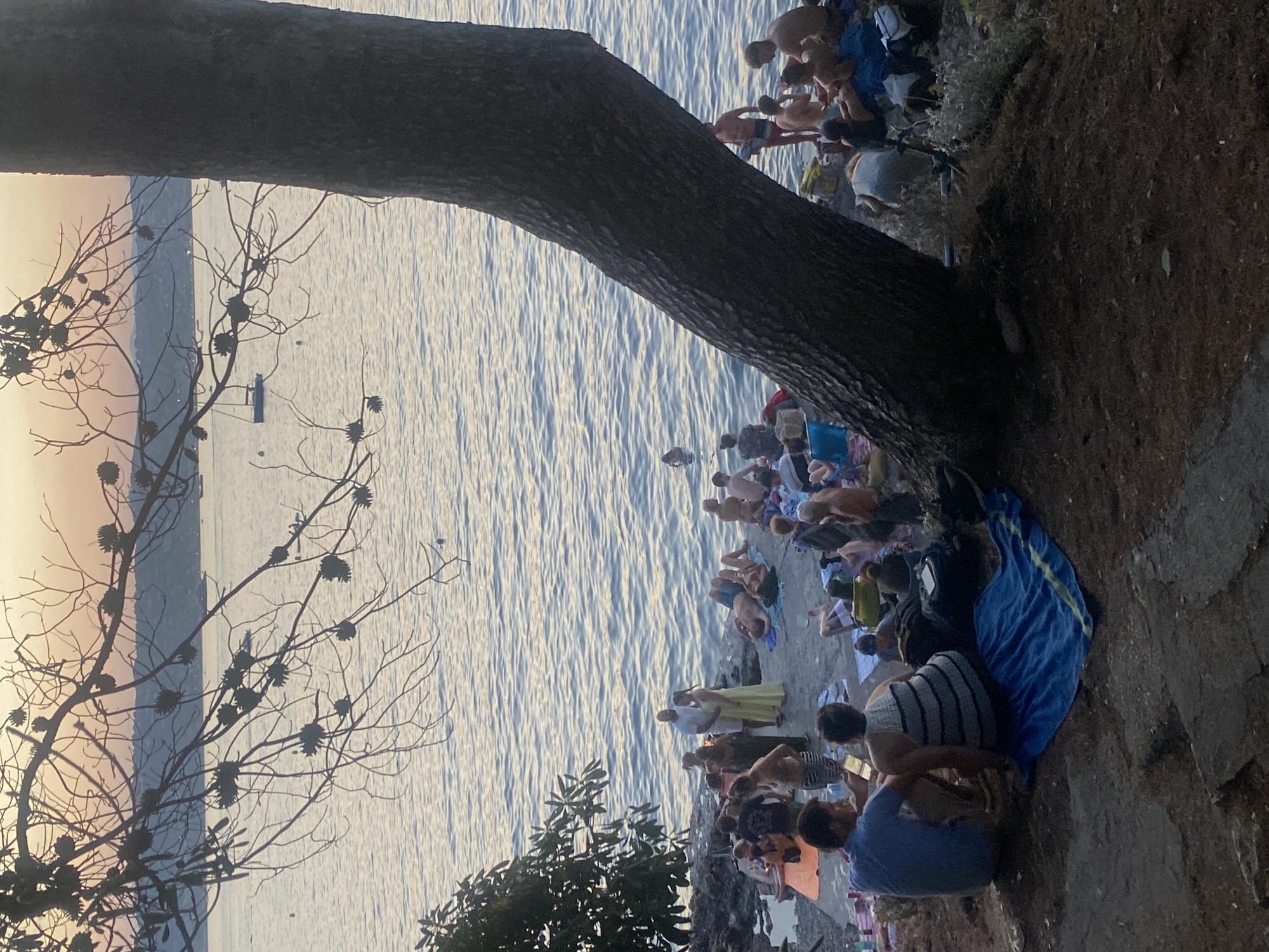 The image depicts a serene sunset scene at a beach in Antibes, France, likely near the ramparts, with the Mediterranean Sea in the background. A large tree trunk dominates the foreground, with its branches silhouetted against the warm hues of the sky. A group of people are scattered along the rocky shoreline, some sunbathing on towels, others wading in the calm water. The atmosphere appears relaxed, with individuals and couples enjoying the end of the day.