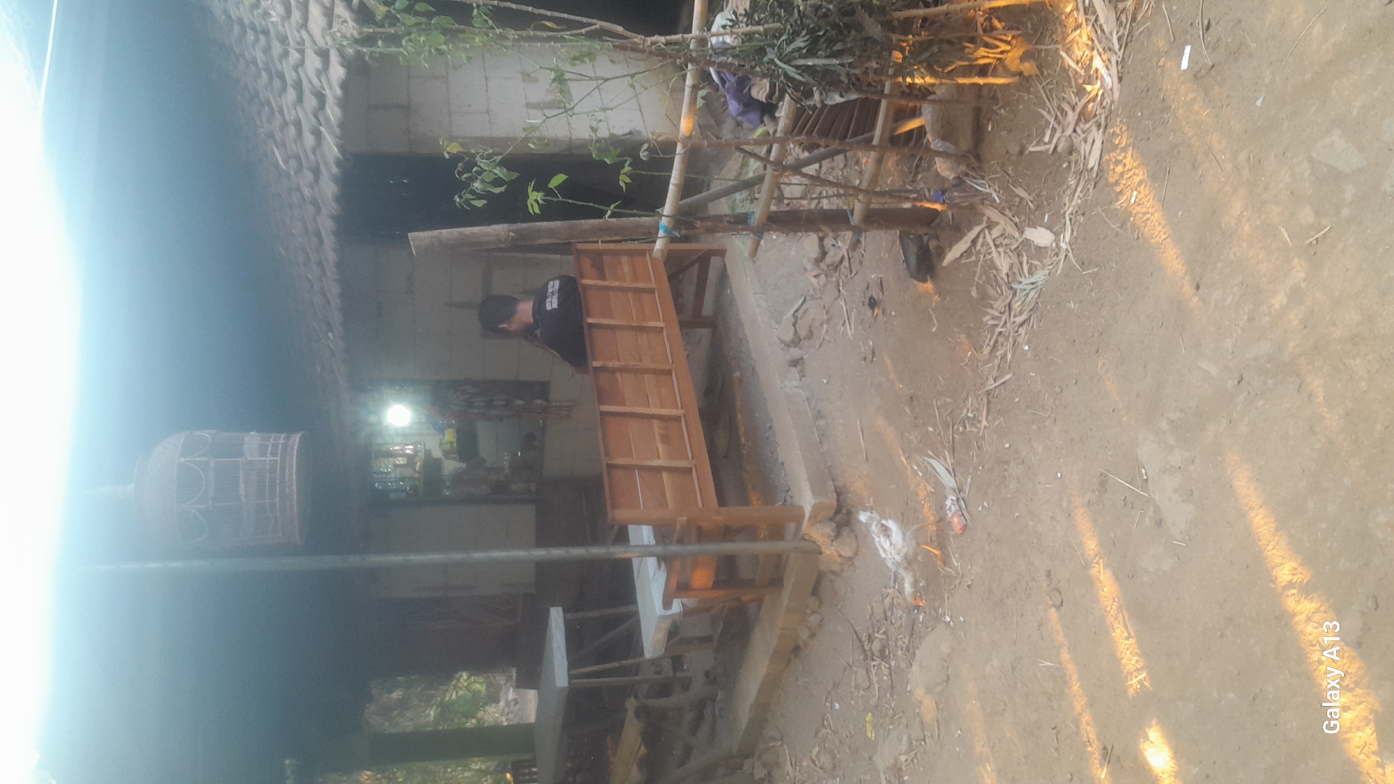 The image depicts a simple, open-air dwelling, possibly in a rural setting, with elements that suggest it is located in Hadipolo, Indonesia. In the foreground, the ground is composed of dirt and scattered dry leaves and debris. Sunlight casts diagonal lines across the ground. To the left, a white chicken with some reddish markings is pecking at the ground. Behind it, a wooden bench with a slatted back and seat is positioned on a raised concrete platform. The bench faces towards a house constructed of light-colored cinder blocks with a tiled roof. A person wearing a dark t-shirt is seated on the bench, facing away from the camera, looking towards the house. Further to the left, another wooden table with a white surface is visible, also on a raised platform. Above the bench, a birdcage made of woven material is suspended from a pole. The overall environment appears weathered and rustic, consistent with a rural Indonesian village.