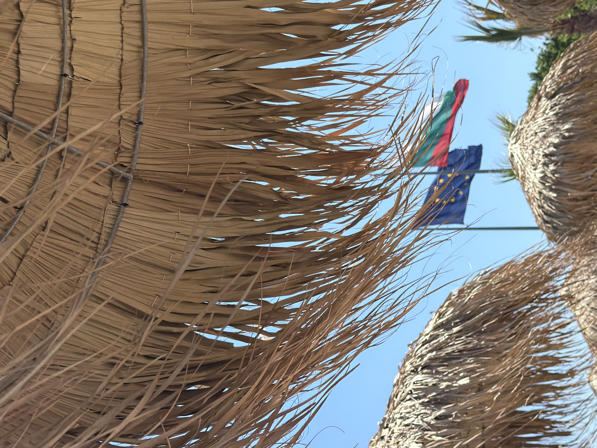 The image shows a view from under thatched-roof umbrellas at a beach. In the background, the flags of the European Union and Bulgaria are visible against a clear blue sky. The flags are mounted on poles and appear to be fluttering in the wind. The umbrellas are made of dry palm leaves and are positioned to provide shade. The overall scene suggests a sunny day at a coastal location. The presence of the Bulgarian flag indicates the location is in Bulgaria. Given the context of beach umbrellas and flags, this scene could be from a beach resort or public beach in Burgas, Bulgaria, a city known for its coastline and tourist attractions. There are no people or animals visible in the image. The focus is on the natural elements of the beach environment and the national and supranational symbols.
