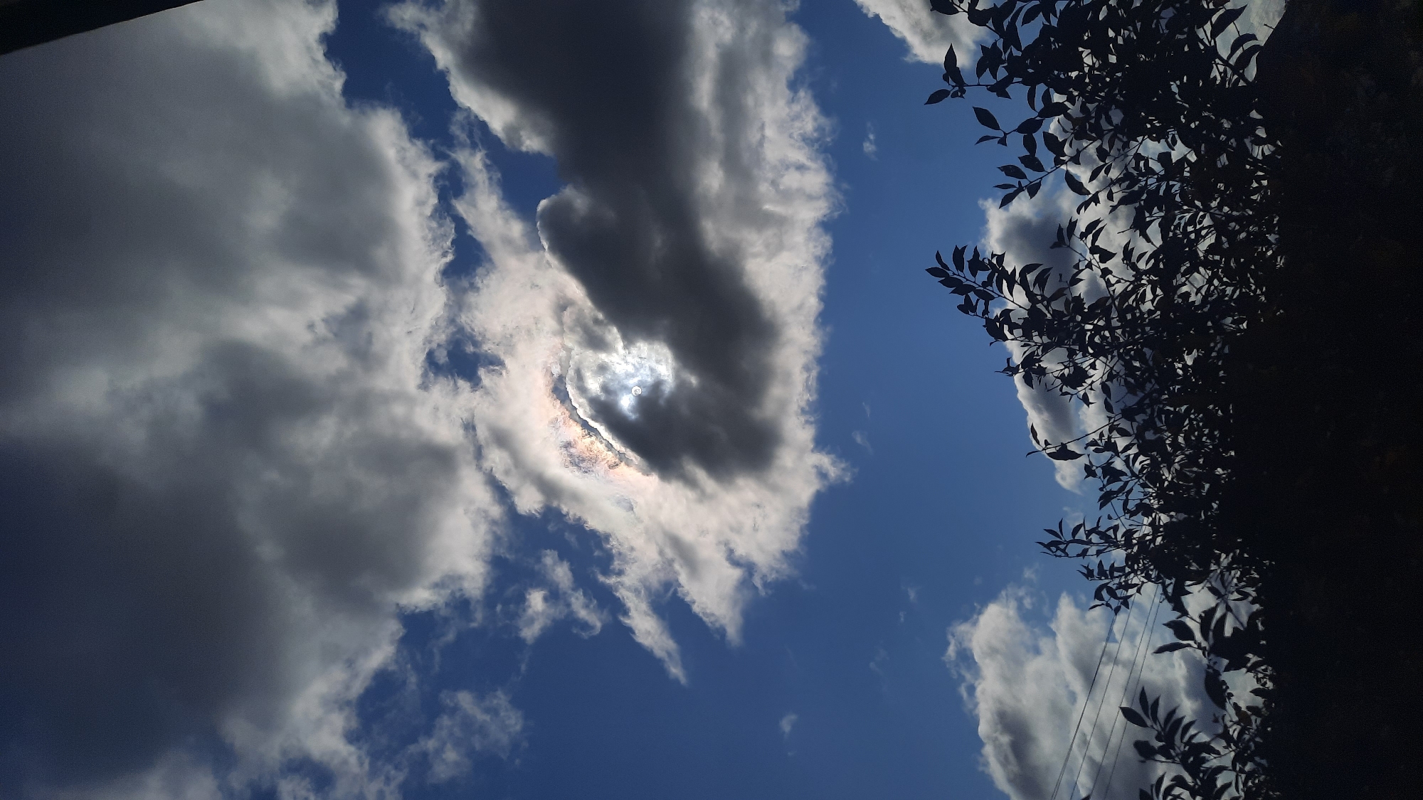 A vertical, eye-level shot captures a sky filled with a mix of dark and light clouds against a vibrant blue backdrop. The sun is partially obscured by a large, dark cloud, creating a striking contrast and a halo effect around it, with hints of iridescent colors visible. In the foreground, the silhouette of dense foliage, likely a bush or trees, is dark and detailed, with individual leaves and branches clearly defined against the lighter sky. The branches extend upwards and inwards, framing the sky. To the left of the foliage, two thin, dark utility wires are visible stretching horizontally across the frame. The overall impression is a natural scene with a hint of man-made elements, characteristic of an outdoor environment in the city of Shkloŭ, Belarus, possibly during daytime with variable weather conditions.