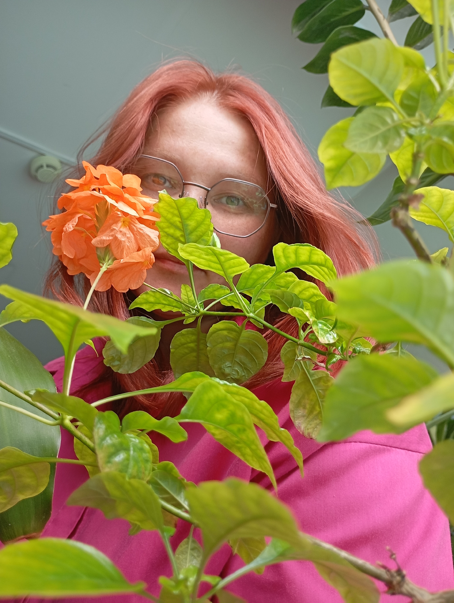 A low-angle portrait, taken indoors in Chaikovsky, Russia, features a person with vibrant reddish-orange hair and clear-rimmed glasses, partially obscured by lush green foliage and bright orange flowers. The subject, who appears to be a young adult woman, looks directly up at the camera, her green eyes visible through her spectacles.
The foreground and midground are dominated by the green leaves of a houseplant, which frame the person's face. A prominent cluster of striking orange, trumpet-shaped flowers is positioned near her nose and mouth, creating a natural and intimate composition. She is wearing a bright magenta-colored top, which provides a contrasting pop of color against her hair and the greenery.
In the upper left background, a light-colored ceiling or wall is visible, featuring a white, circular smoke detector. The bright, natural lighting suggests it is daytime. The overall impression is one of calm and natural beauty, with the person seemingly interacting with or emerging from the plant life. There is no visible text in the image.