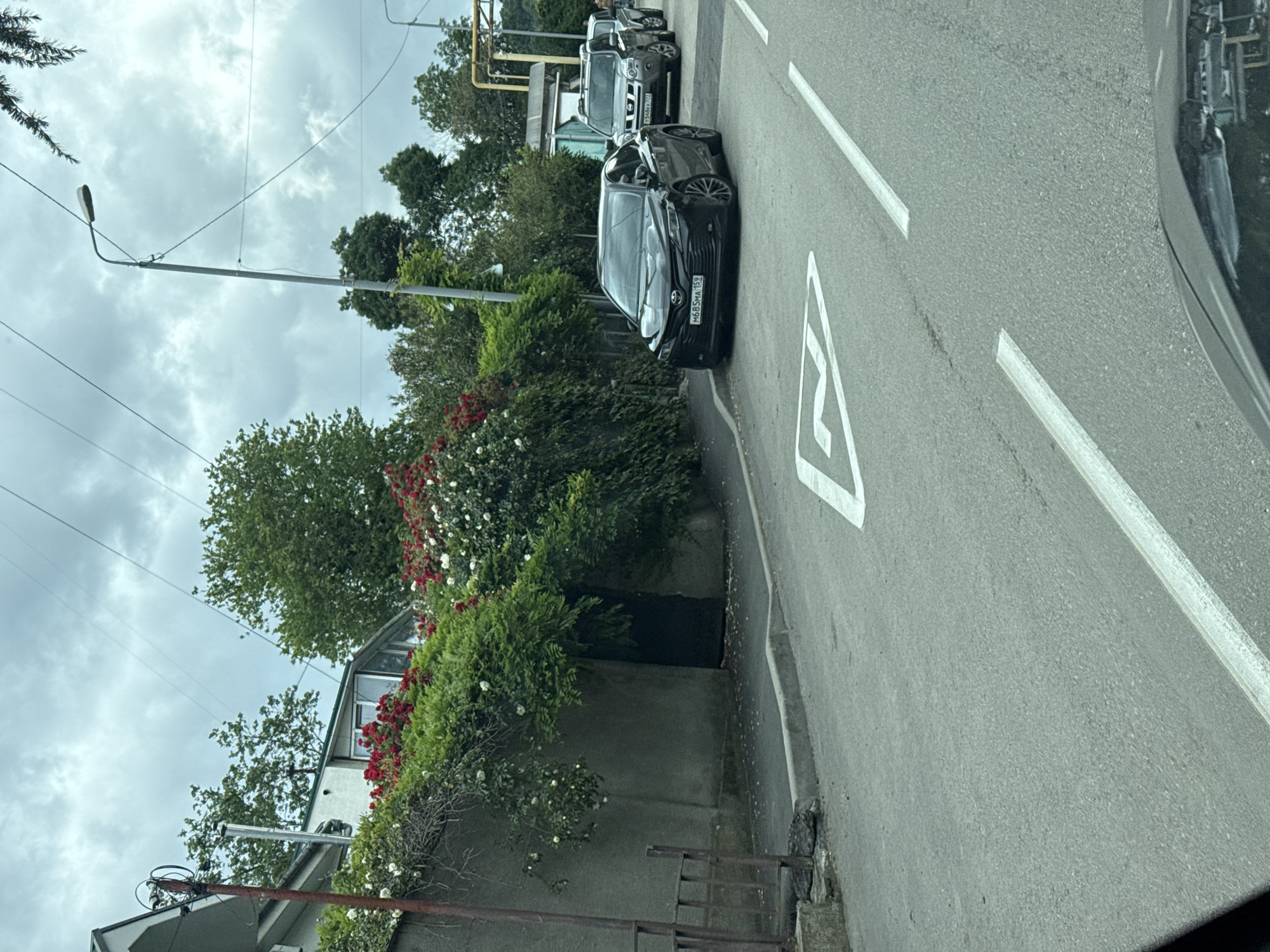 A street scene with a black car parked on the right side of the road in the city of Unknown, Unknown. A white arrow marking is painted on the asphalt next to the car. Adjacent to the car and the road is a hedge with red and white flowers. A lamppost stands tall, connected by electrical wires overhead. Further down the road, another car is parked. The sky is overcast with a cloudy backdrop.