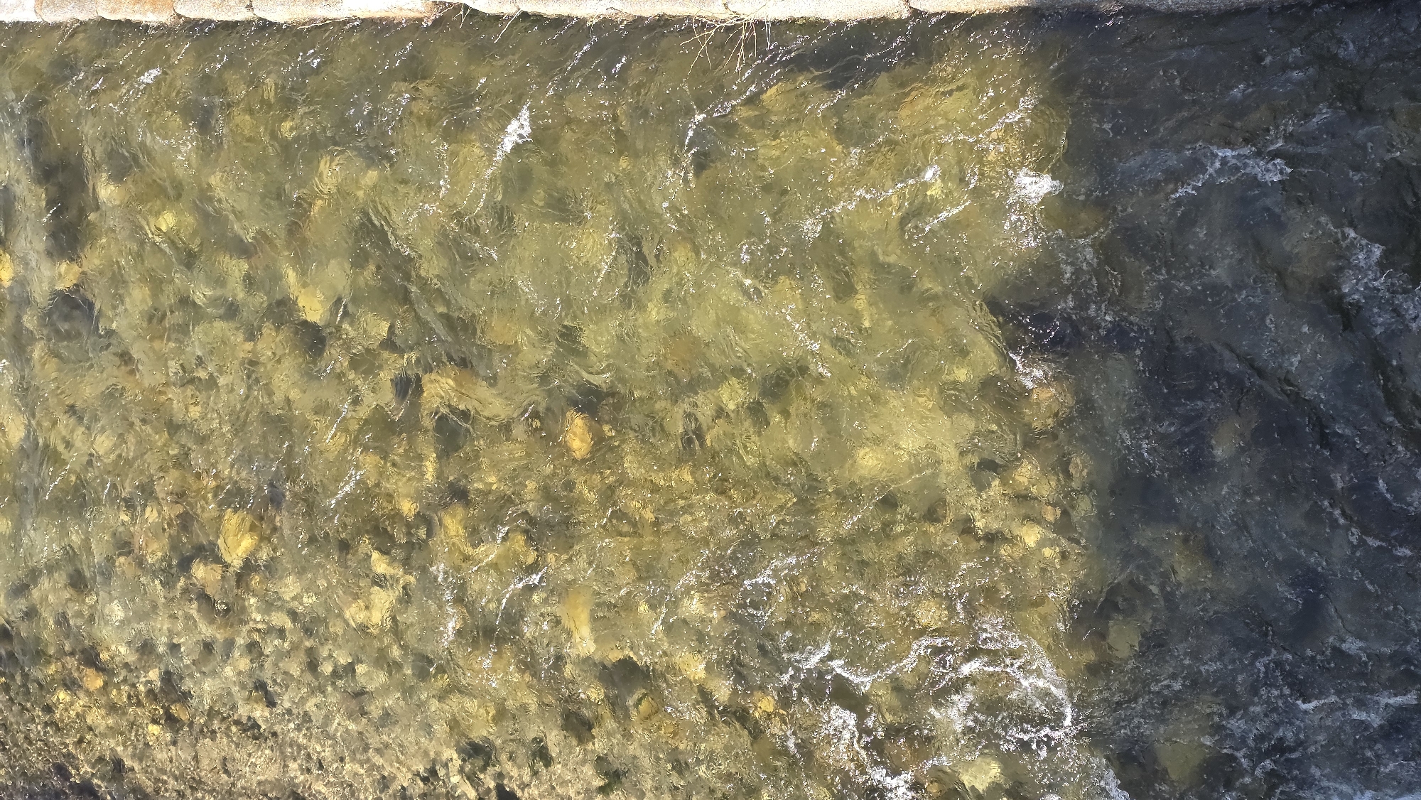 The image shows a body of water with a rocky bottom. The water is flowing and appears somewhat clear, allowing visibility of the rocks and sediment below. The light reflects on the water's surface, creating highlights and patterns. A concrete structure, possibly a bank or edge, is visible at the top of the frame. Based on the context, this location is likely in the city of Blagoevgrad, Bulgaria, given that I was asked about Blagoevgrad previously.