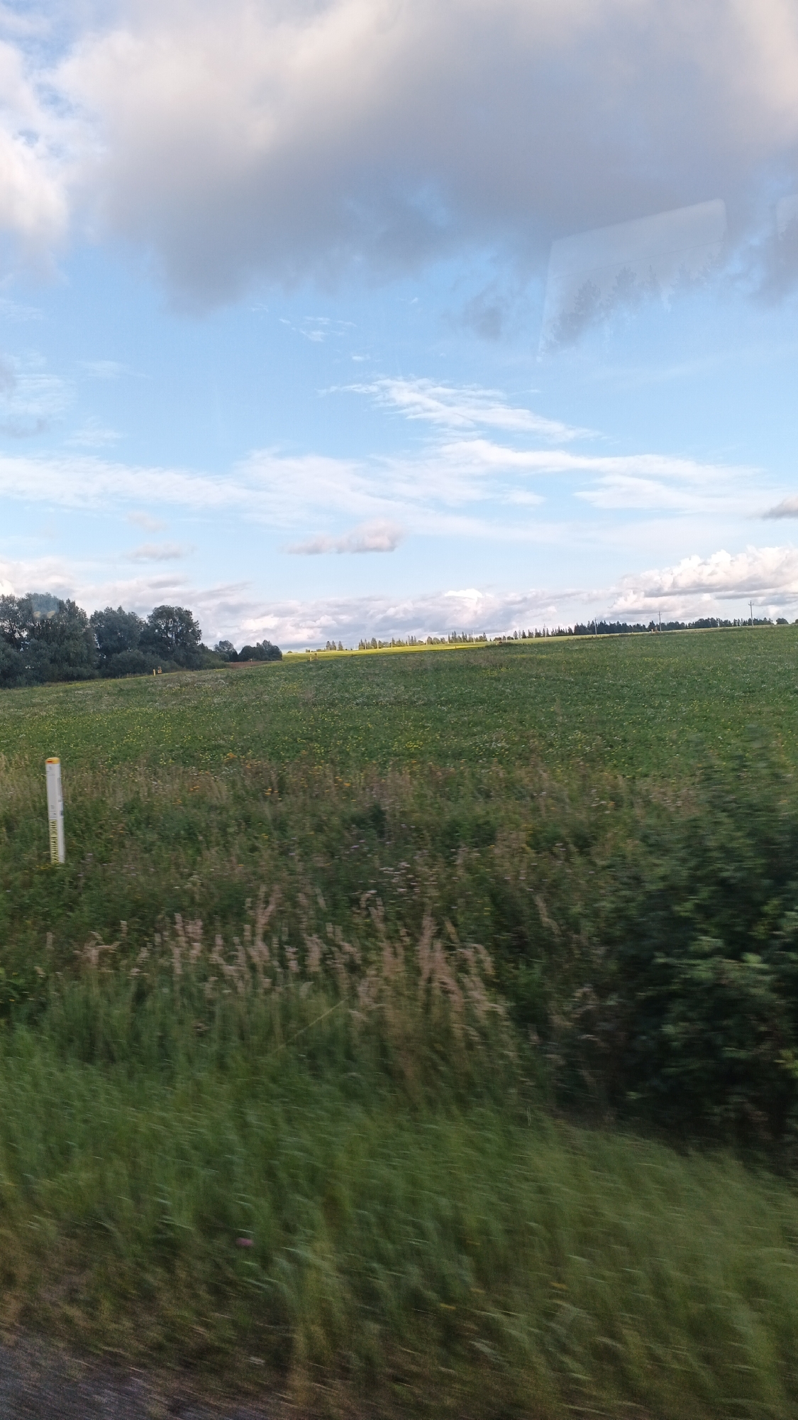 The image shows a rural landscape with a large green field under a partly cloudy sky. In the foreground, there is blurred green grass and some tall, dry reeds. To the left, a white pole with yellow markings stands in the field. In the middle ground, the field continues with scattered wildflowers. The background features a line of trees and a distant, hazy yellow field. The sky is blue with large, grey and white clouds. There is a subtle reflection on the surface of a window, showing the trees and sky. The scene is likely located in the city of Buranovo, Russia, given the information provided.