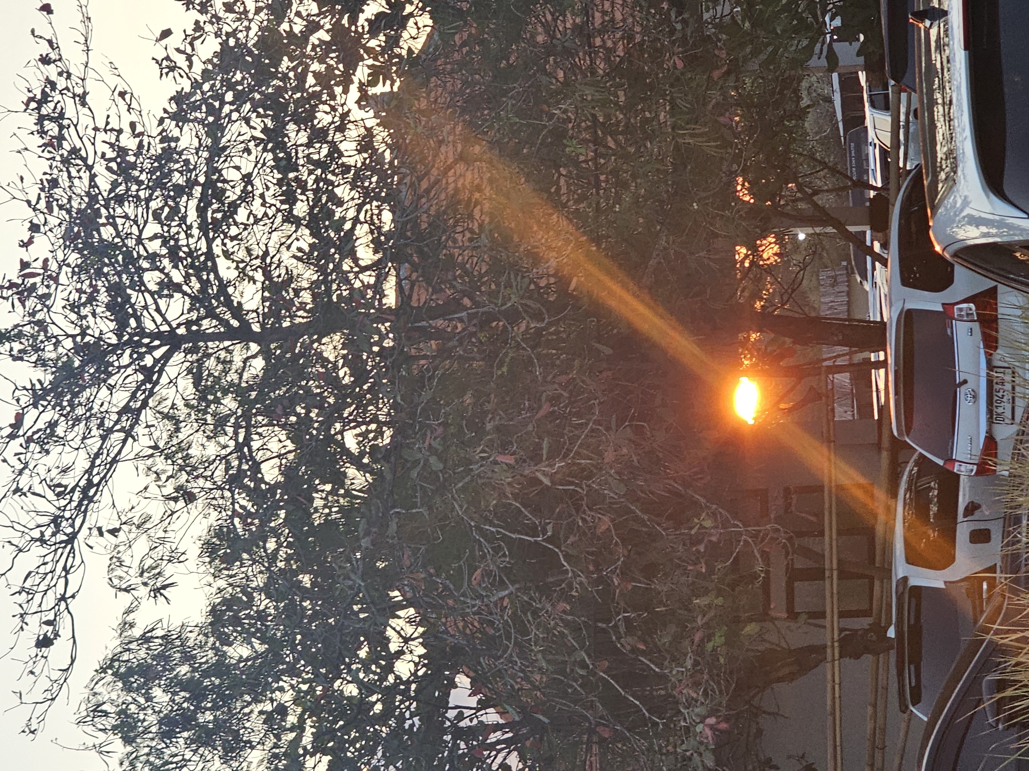 The image depicts a sunset scene with trees and parked cars. The sun is setting behind the trees, casting a warm orange glow and creating light rays that stream through the branches. The lower part of the image shows several vehicles, including a white SUV with a license plate that reads "DK 1945 AJ". In the background, there is a building or structure with windows. The presence of cars and a possible shuttle van with text on it, along with the tropical foliage, suggests a location in Denpasar, Indonesia, potentially a parking lot or public area near a building. The scene appears to be a candid shot taken at dusk.