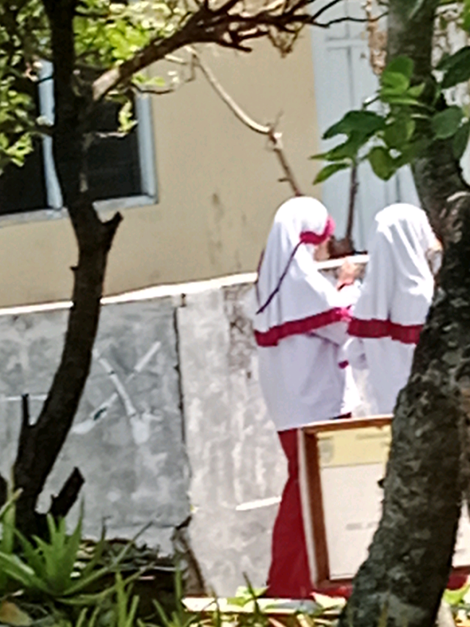 Two individuals wearing white hijabs with red trim are standing outdoors. The individual on the left is slightly closer to the camera and is seen from the side, while the individual on the right is slightly further away and also seen from the side. They appear to be near a wall. In the foreground, there is a tree trunk with green leaves and branches. There is also a plant with long, pointed leaves in the lower left corner. The background consists of a light-colored building. A framed document or sign is visible between the two individuals. The scene appears to be in a public area, possibly a school or a religious institution. The image is pixelated and lacks sharp detail.