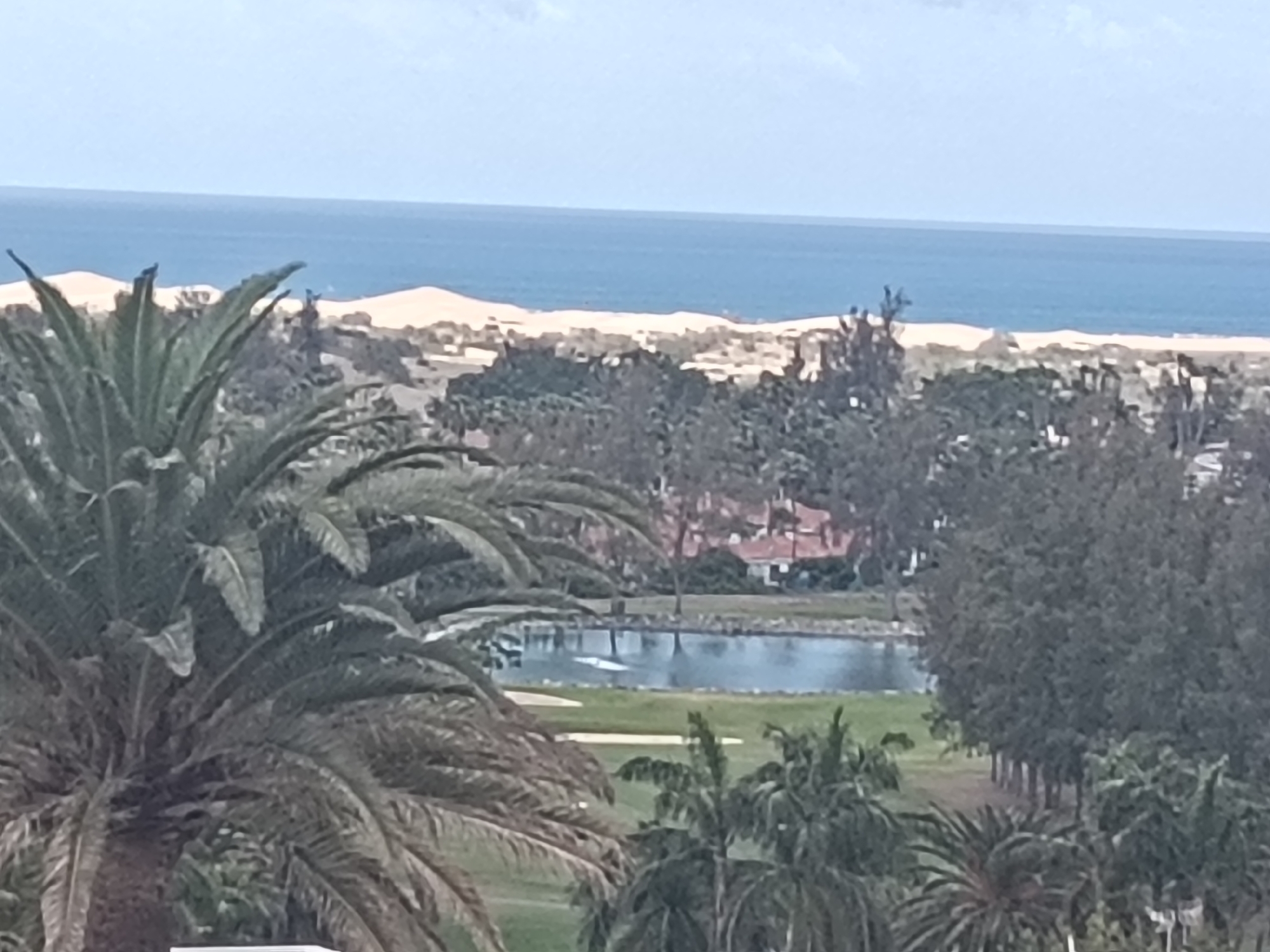 The image shows a landscape with a body of water in the middle ground and the ocean in the background. Sand dunes can be seen between the ocean and the trees. In the foreground, there are palm trees. The image is of Maspalomas, San Bartolomé de Tirajana, Spain. There are palm trees, a golf course, sand dunes, the Atlantic ocean, and the sky.