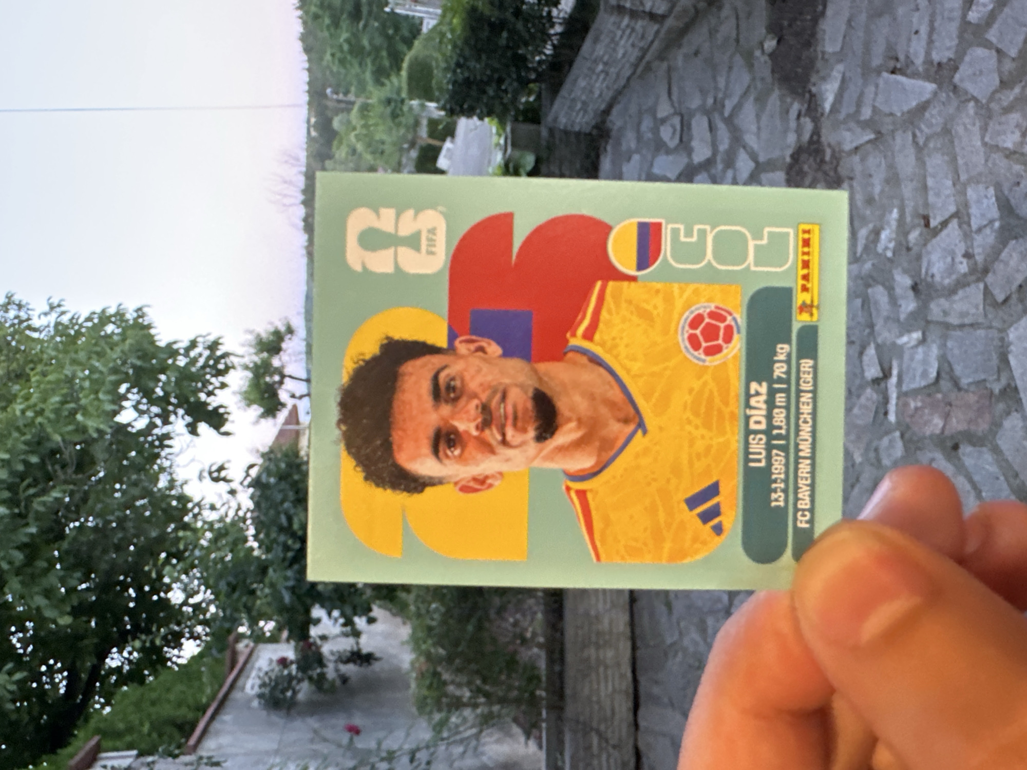A person's thumb is holding a trading card featuring Colombian soccer player Luis Díaz. The card has a light green background with large yellow and red graphic elements. Luis Díaz is depicted in the center, wearing a yellow jersey with red and blue accents and a small Colombian flag emblem. His name, birthdate, height, weight, and club (FC Bayern München) are printed below his image, along with the Panini logo. The card appears to be part of a collection, possibly from the 2023 collection given the prominent "23" graphic on the card. The background of the photograph is an outdoor setting with stone paving, a low stone wall with plants, and trees. The sky is visible at the top, suggesting it is either early morning or late evening. This scene was captured in the city of Prisovo, Bulgaria.