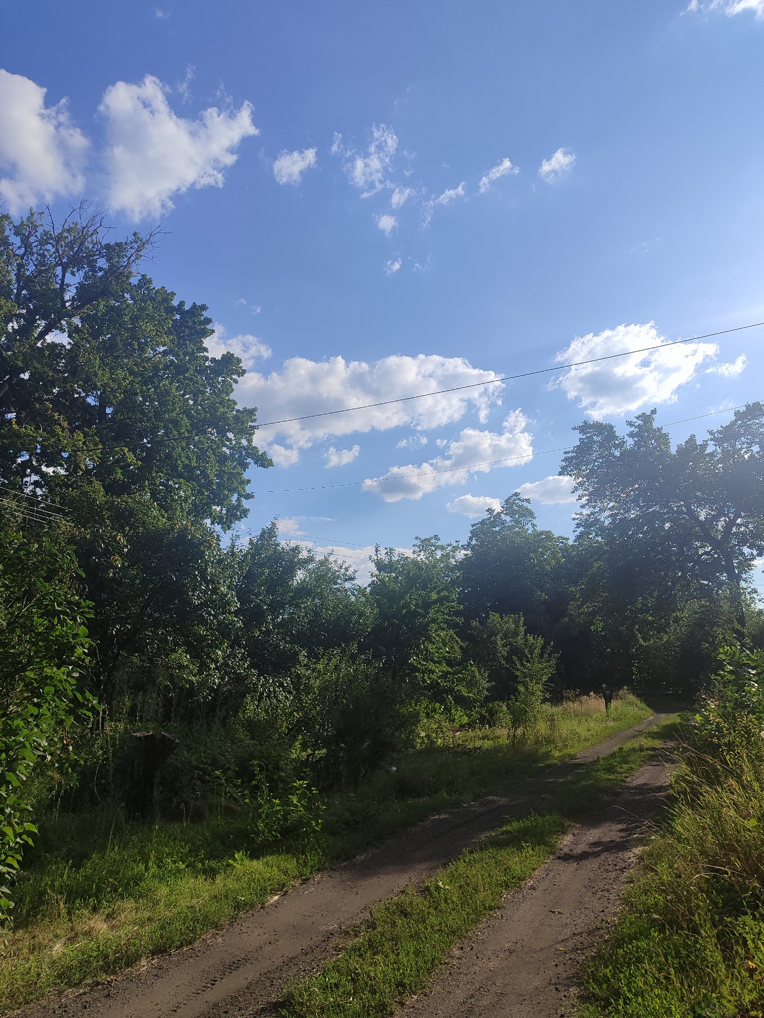 A dirt road curves through a grassy area lined with lush green trees under a bright blue sky dotted with white clouds. Power lines are visible stretching across the sky. The scene appears to be an outdoor, rural setting on a sunny day.