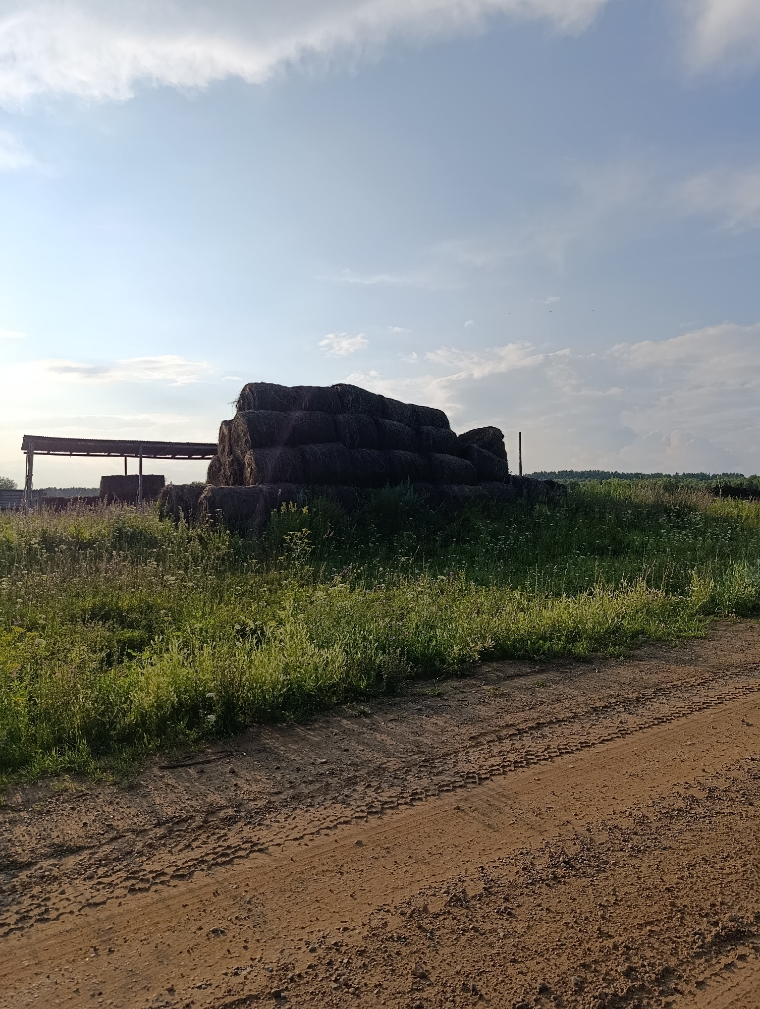 A dirt road leads to a grassy field in the village of Zipunovo, Russia. A large stack of hay bales sits in the field, partially covered by a rustic shelter with a corrugated metal roof. The sky is a light blue with scattered white clouds. The sun is setting, casting long shadows across the field and road. The scene is peaceful and serene, evoking a sense of rural tranquility.