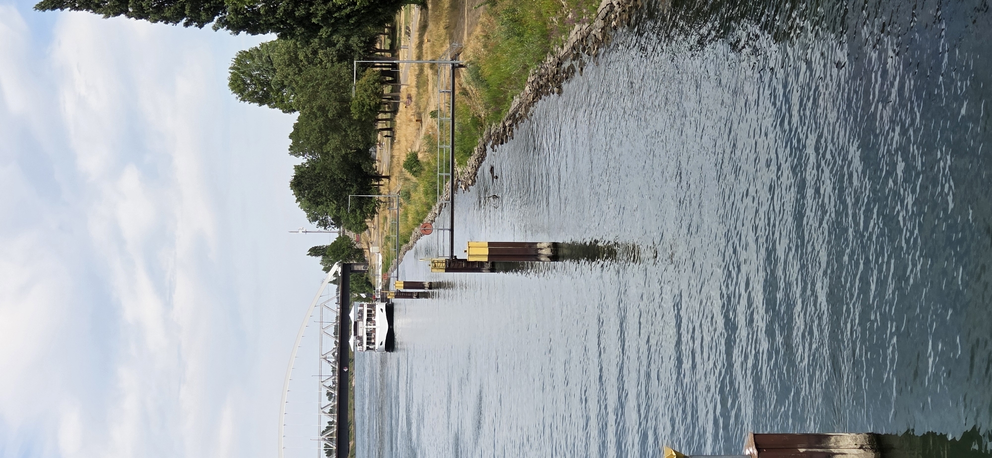 This image captures a view of the Rhine River in Kehl, Germany, on a cloudy day. The river occupies the foreground, its surface rippled by a gentle current. Along the right bank, a stone embankment is visible, lined with green vegetation and trees. Several dark, cylindrical posts with yellow tops stand in the water near the bank, likely mooring posts or markers. A narrow walkway, supported by metal posts, extends over the water along the embankment.
Further in the distance, a white passenger boat with multiple decks and outdoor seating is moving towards a large arched bridge that spans the river. The bridge's metal structure is visible against the sky. On the left side of the river, beyond the bridge, trees and a power line pylon can be seen. The background features a park-like area with scattered trees and open grassy spaces, with a single person visible in the distance walking along a path. The overall scene suggests a calm, daytime setting by a major waterway.