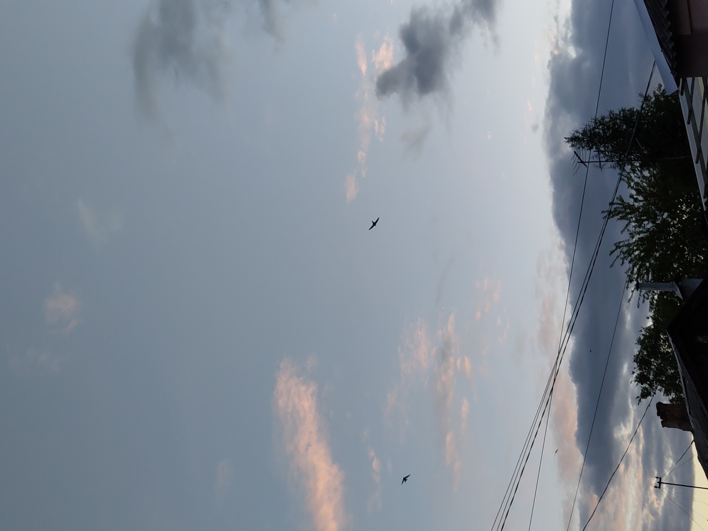 The image shows a sky at an unknown location in an unknown city. The sky is mostly light blue-gray with some dark gray clouds and clouds tinted pink. There are at least two birds flying in the sky. Power lines and trees are visible on the right side of the image. Part of a building is visible in the lower right corner.