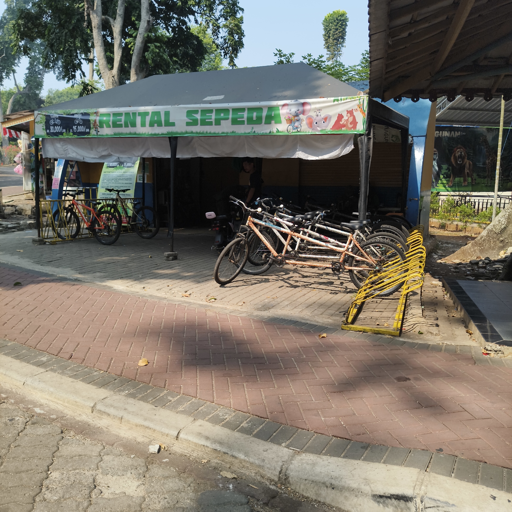 The image depicts a bicycle rental stand located in Taman Safari, Bogor, West Java, Indonesia. The rental stand is identified by a banner that reads "RENTAL SEPEDA," meaning "Bicycle Rental." Several tandem bicycles are parked in a yellow rack in front of the stand. In the background, a poster featuring a lion and other animals is visible, suggesting the location is within a zoo or wildlife park. The ground is paved with brick-like stones, and the scene is illuminated by natural sunlight, casting shadows. A person is partially visible inside the rental stand.