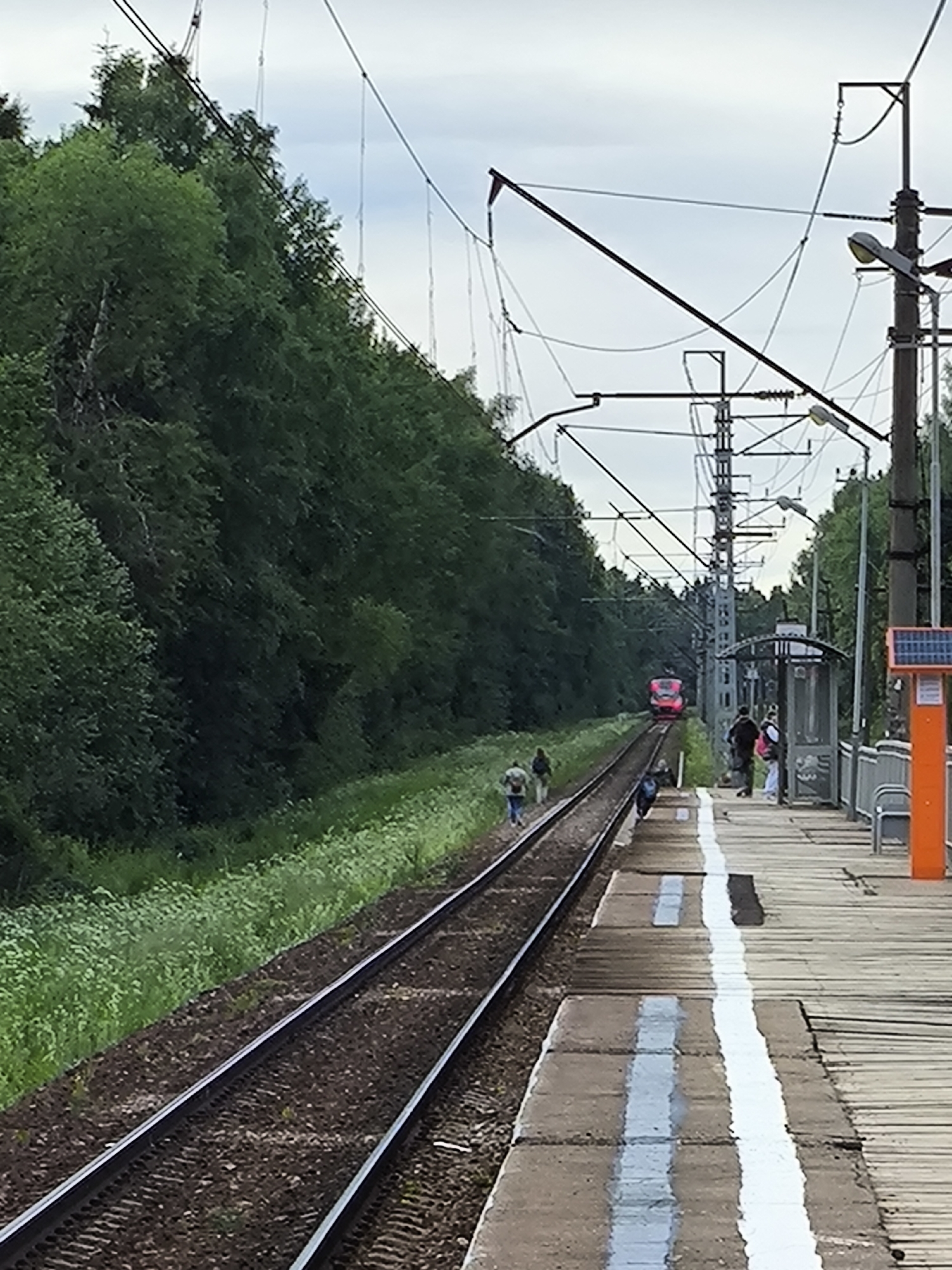 In an outdoor, overcast scene at a train station, a red train is approaching on the tracks from the distance. Several people are visible on the platform and alongside the tracks. The train station features wooden planks and concrete sections on the platform, with a covered waiting area and an orange utility box with solar panels. Overhead power lines for the train are abundant, supported by tall poles. Lush green trees line the area behind the tracks.